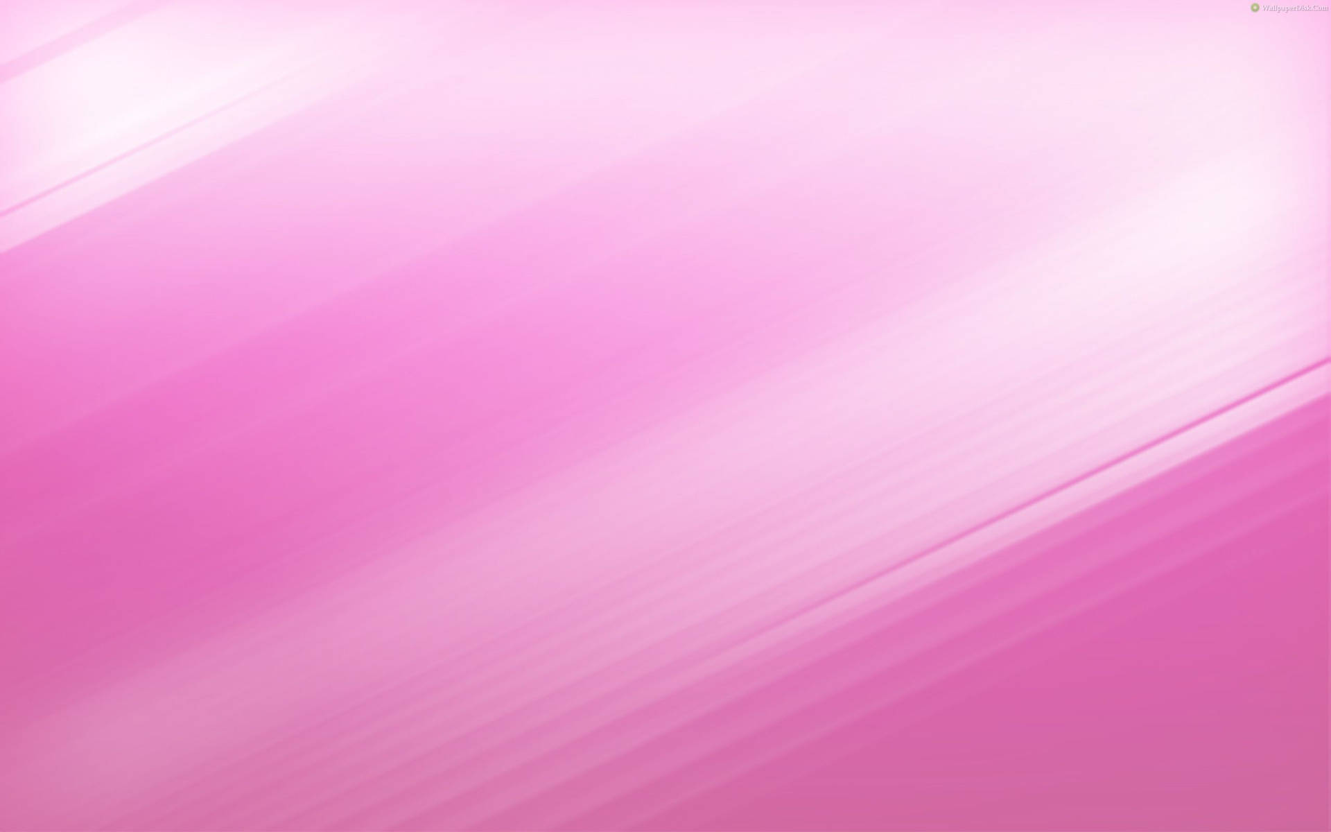 2560X1600 Pink Wallpaper and Background