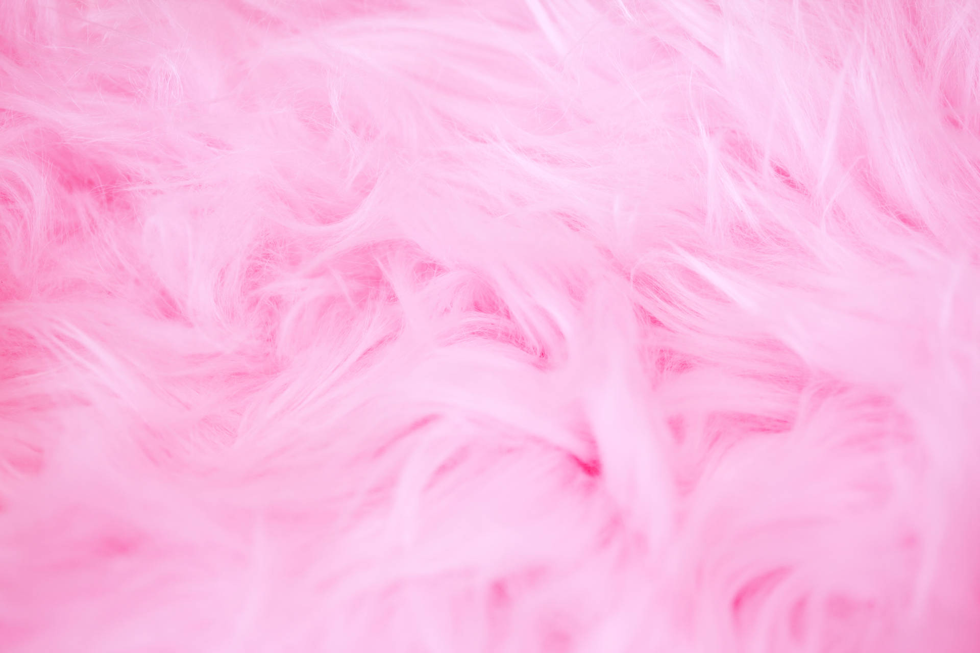 5616X3744 Pink Wallpaper and Background
