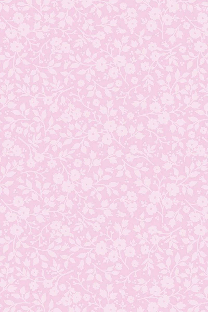 800X1200 Pink Wallpaper and Background