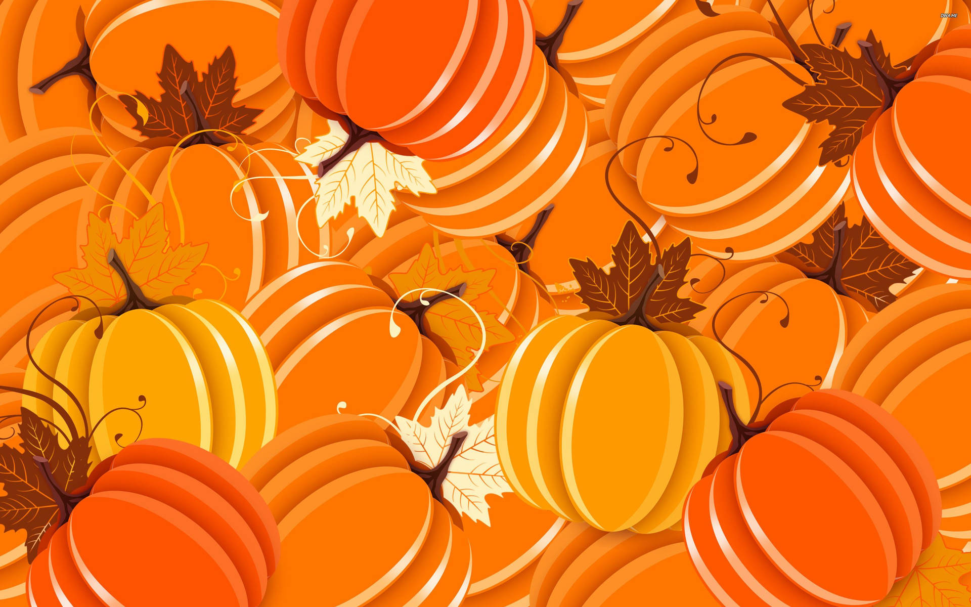 2880X1800 Pumpkin Wallpaper and Background