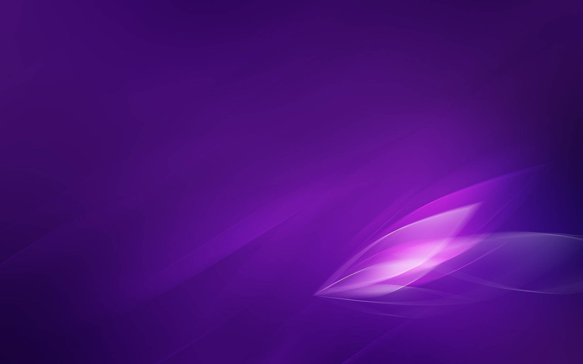 2560X1600 Purple Wallpaper and Background