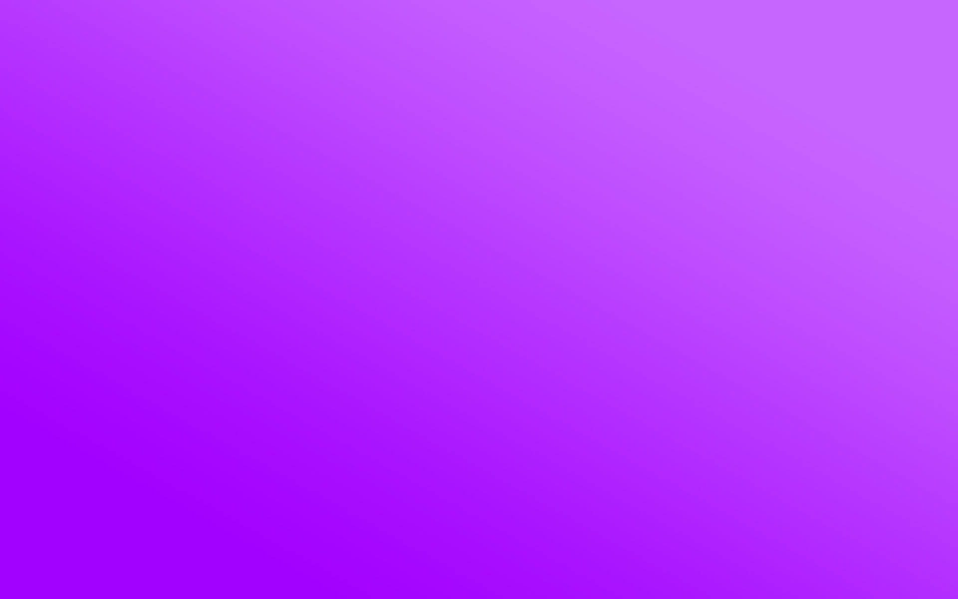 2560X1600 Purple Wallpaper and Background