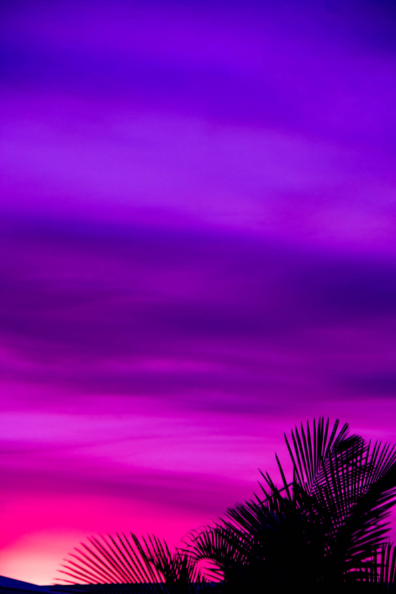 3456X5184 Purple Wallpaper and Background
