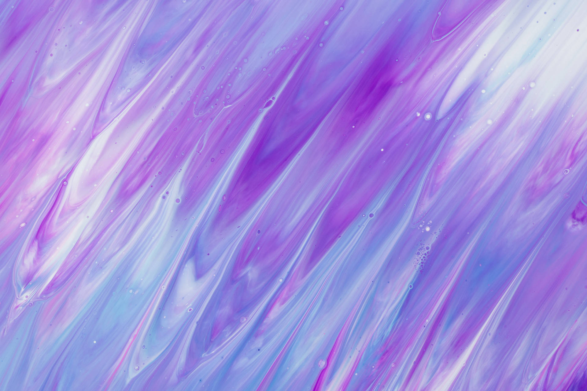 6000X4000 Purple Wallpaper and Background