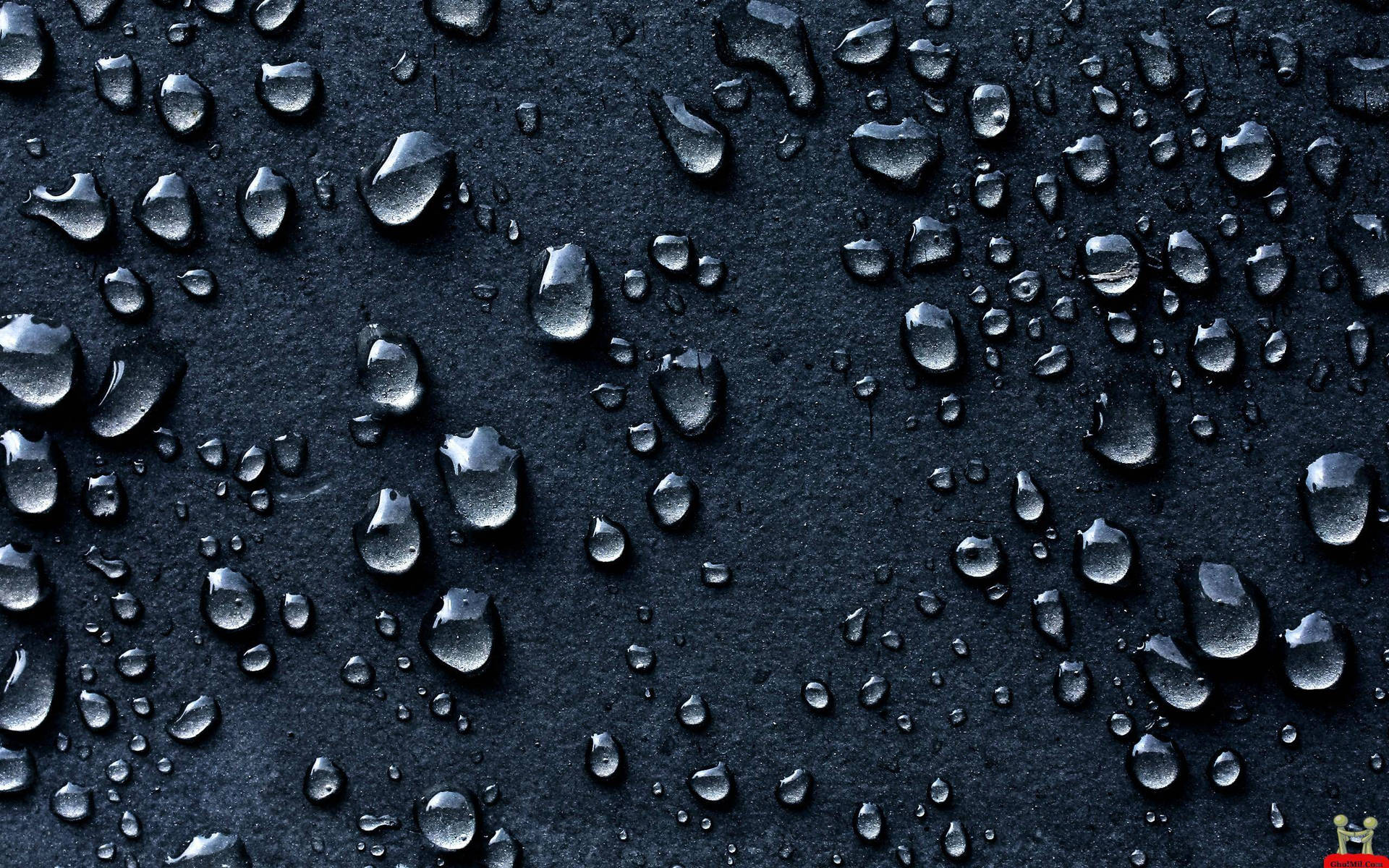 2560X1600 Rain Wallpaper and Background
