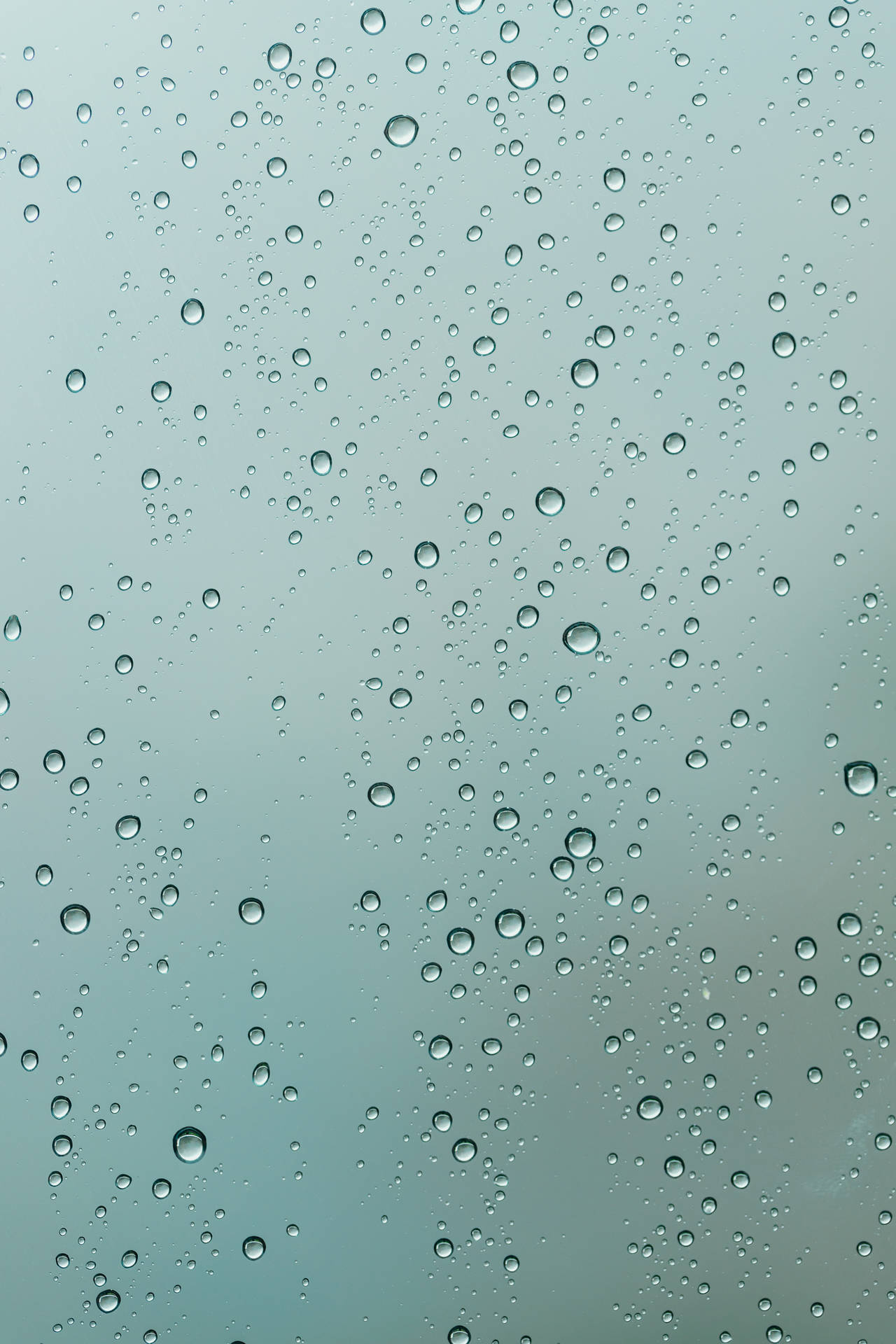 2867X4300 Rain Wallpaper and Background