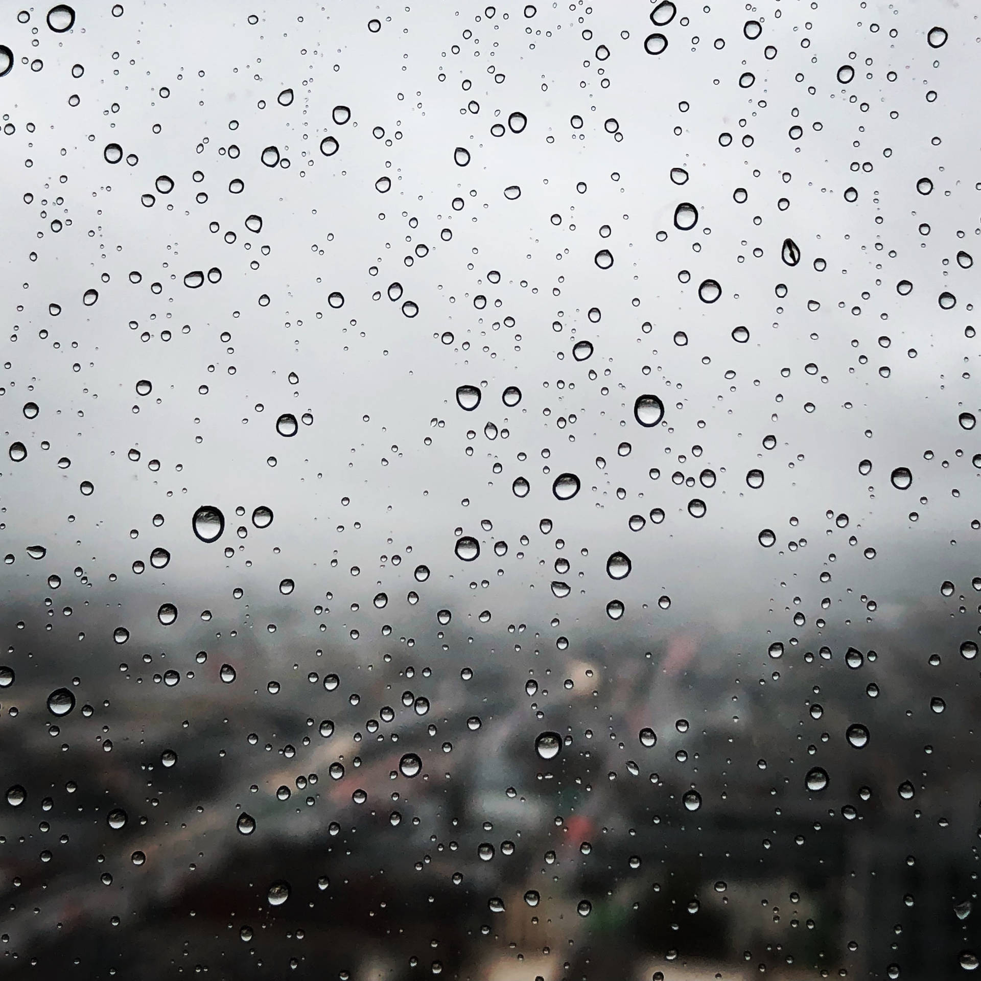 3024X3024 Rain Wallpaper and Background