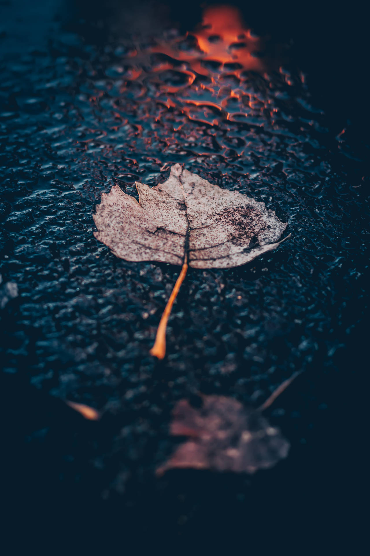 3127X4691 Rain Wallpaper and Background