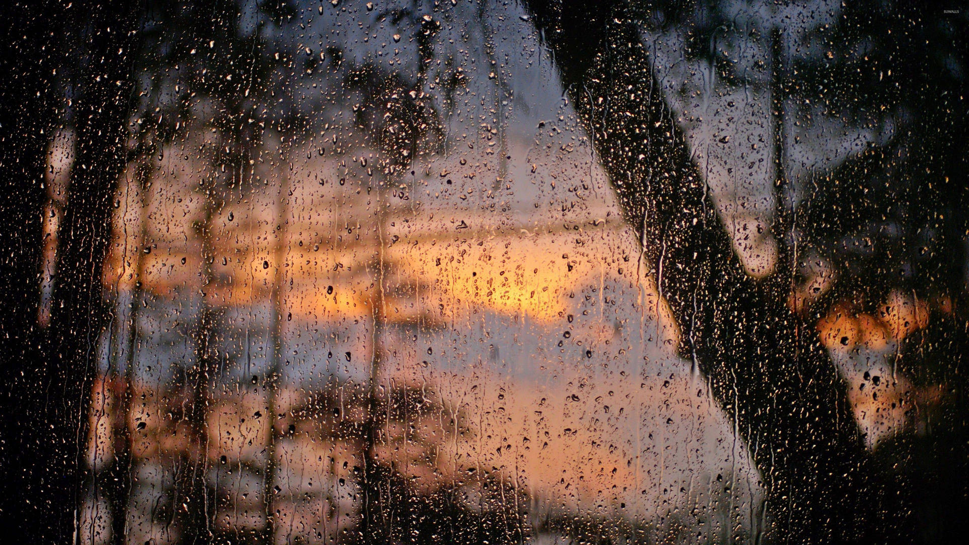 3840X2160 Rain Wallpaper and Background