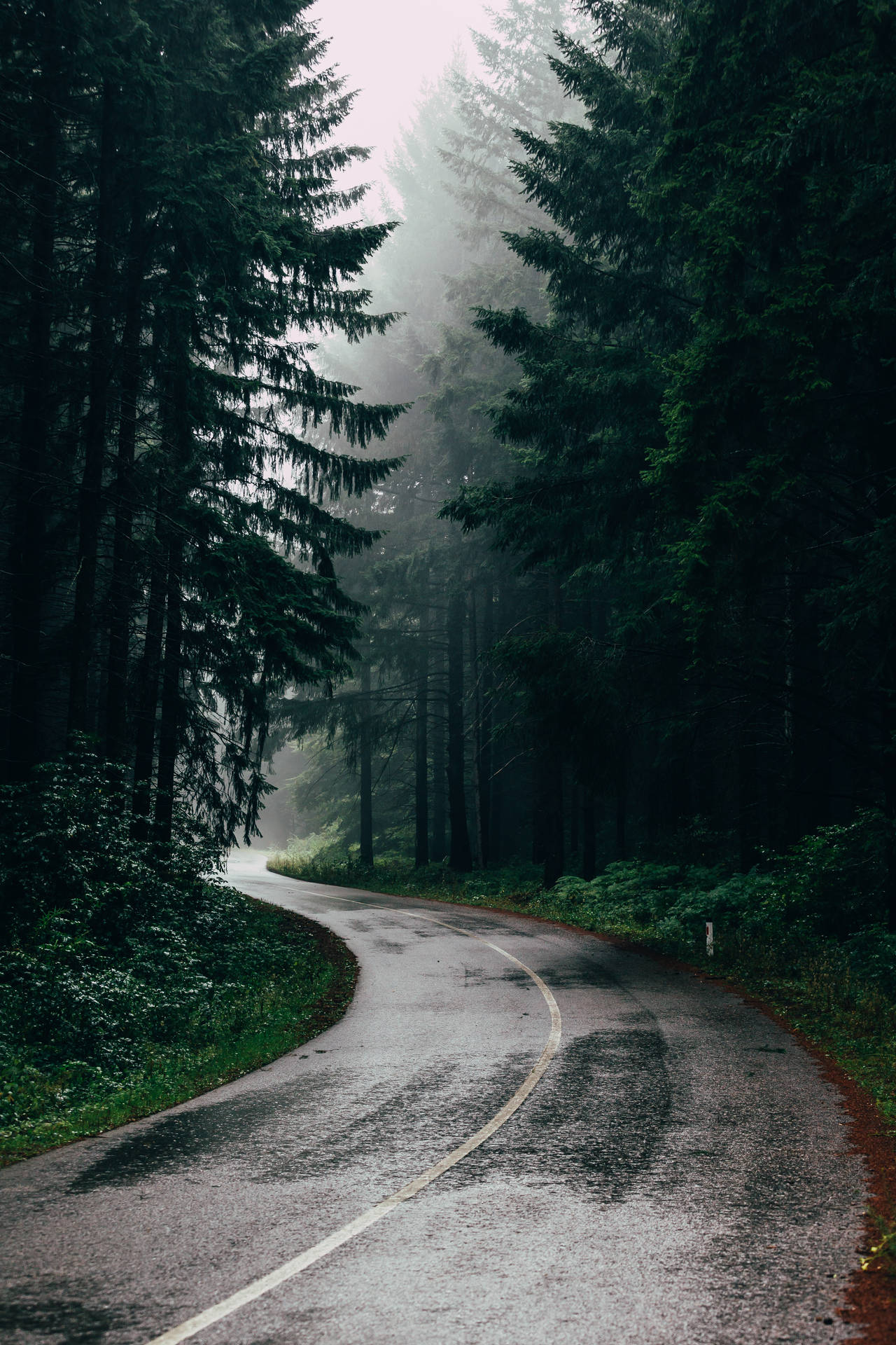 3840X5760 Rain Wallpaper and Background