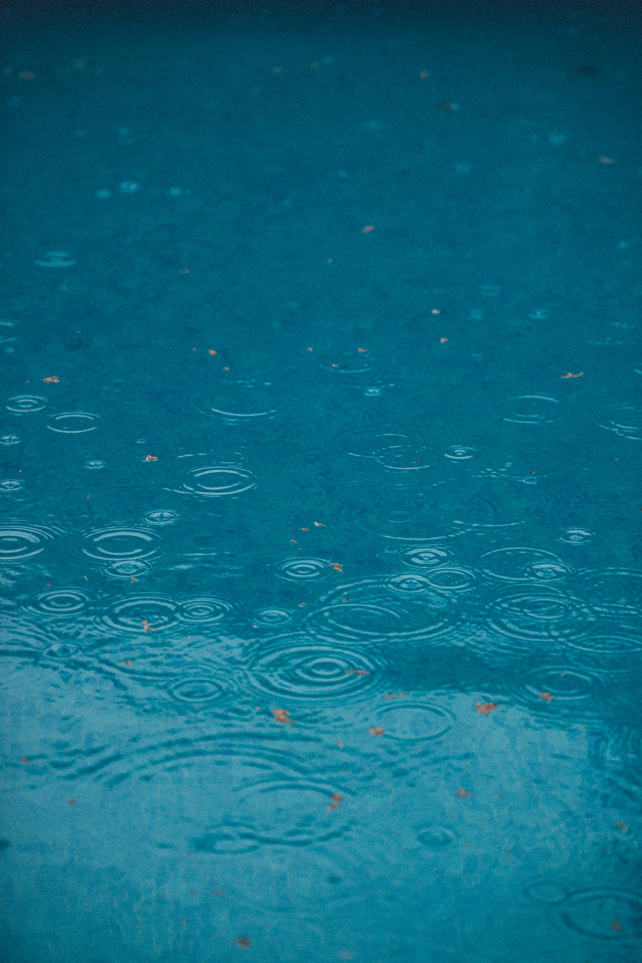 4912X7360 Rain Wallpaper and Background