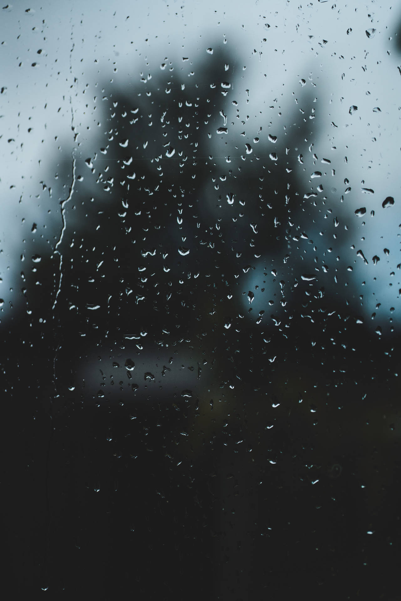 5304X7952 Rain Wallpaper and Background