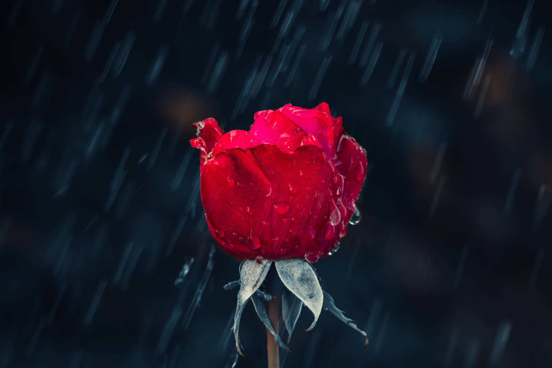 5493X3662 Rain Wallpaper and Background