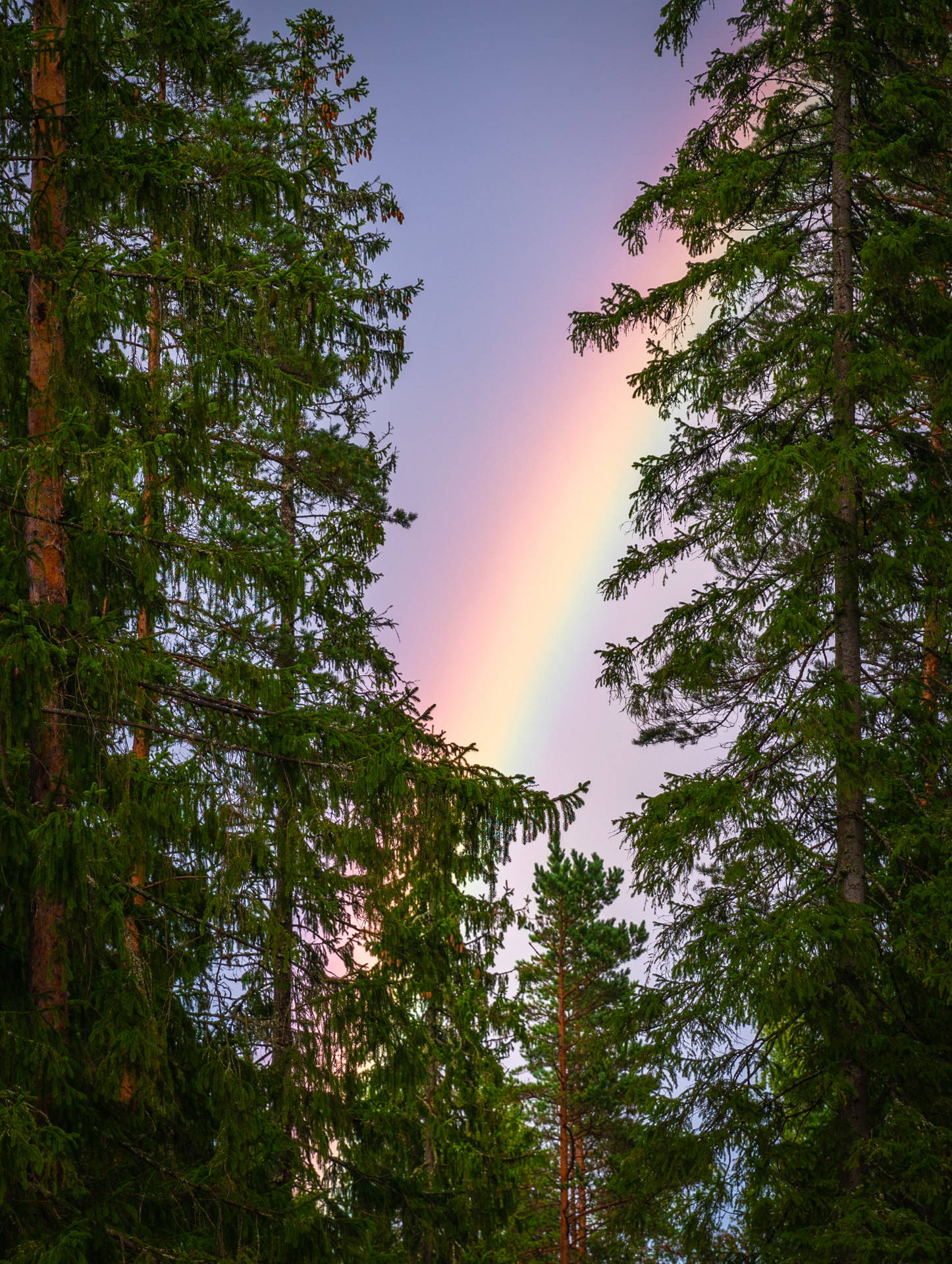 2548X3383 Rainbow Wallpaper and Background