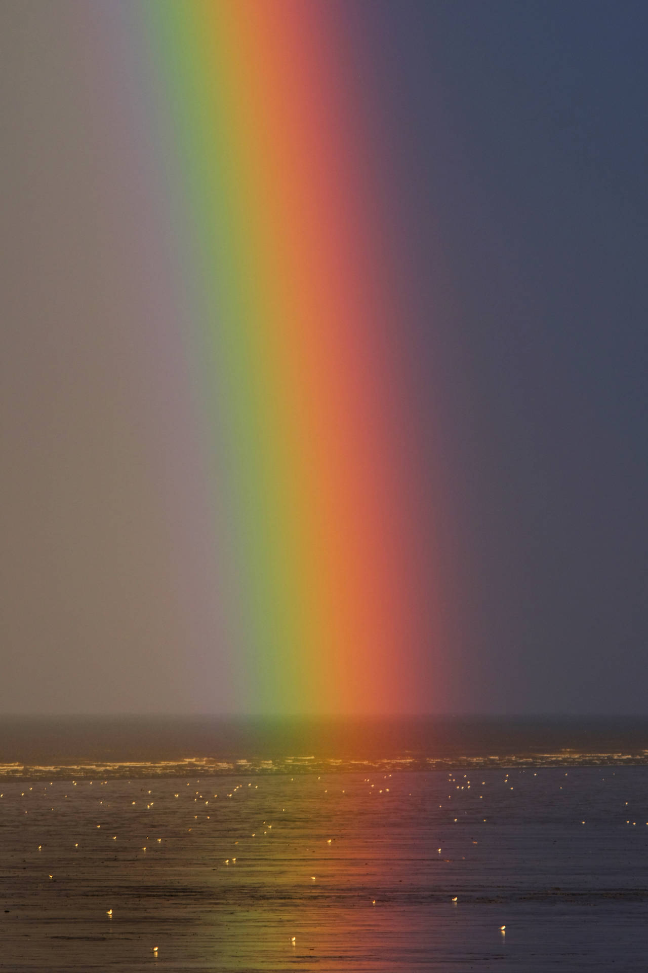 3217X4825 Rainbow Wallpaper and Background