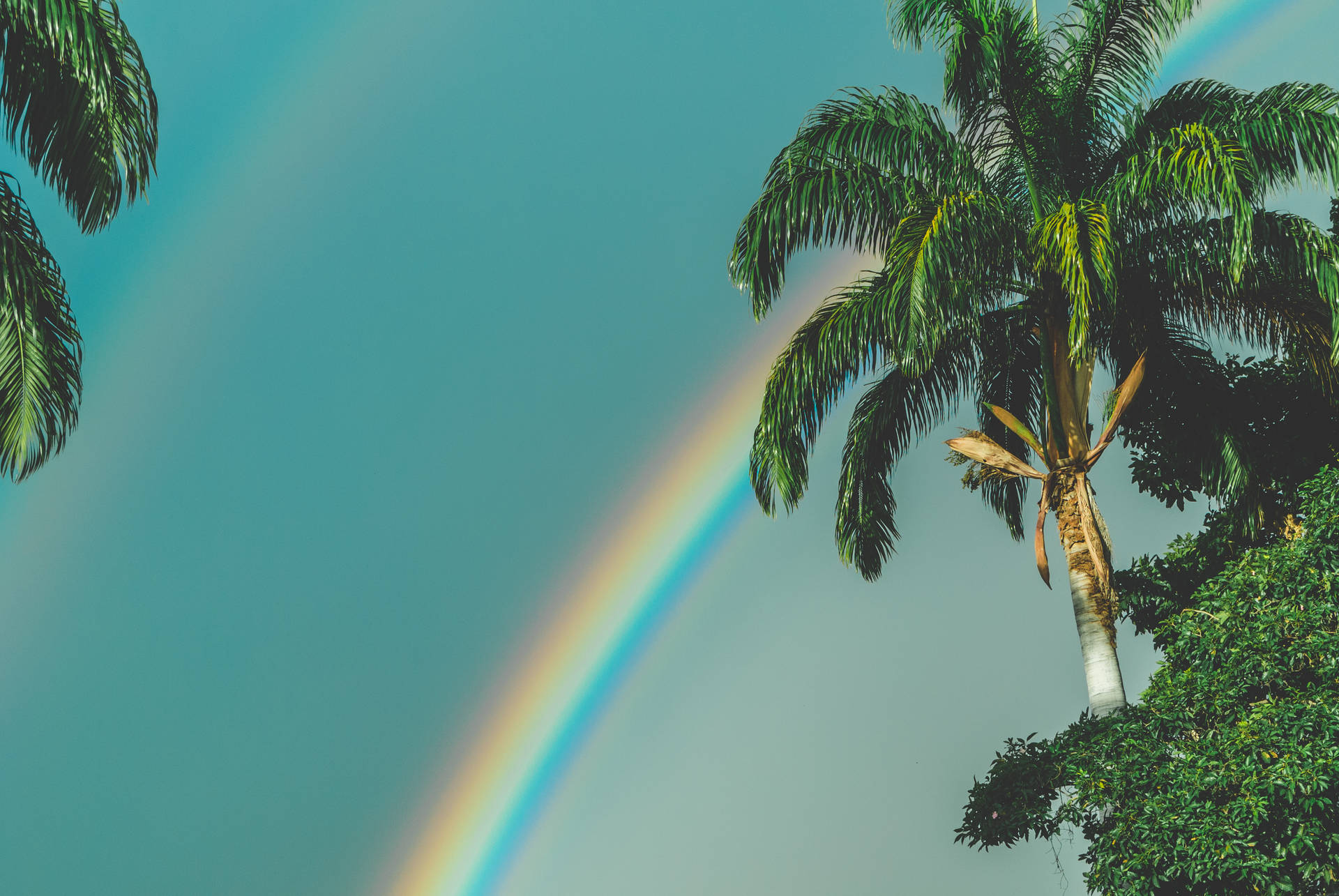 3872X2592 Rainbow Wallpaper and Background