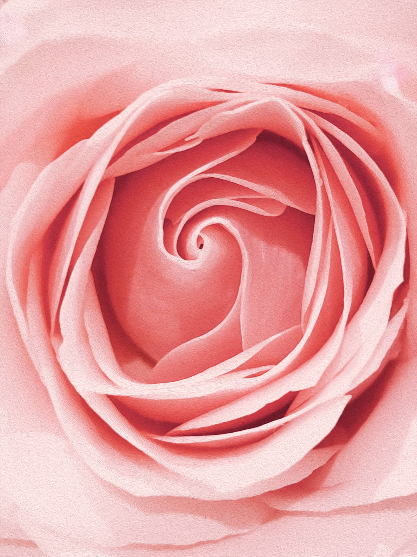 2865X3820 Rose Gold Wallpaper and Background