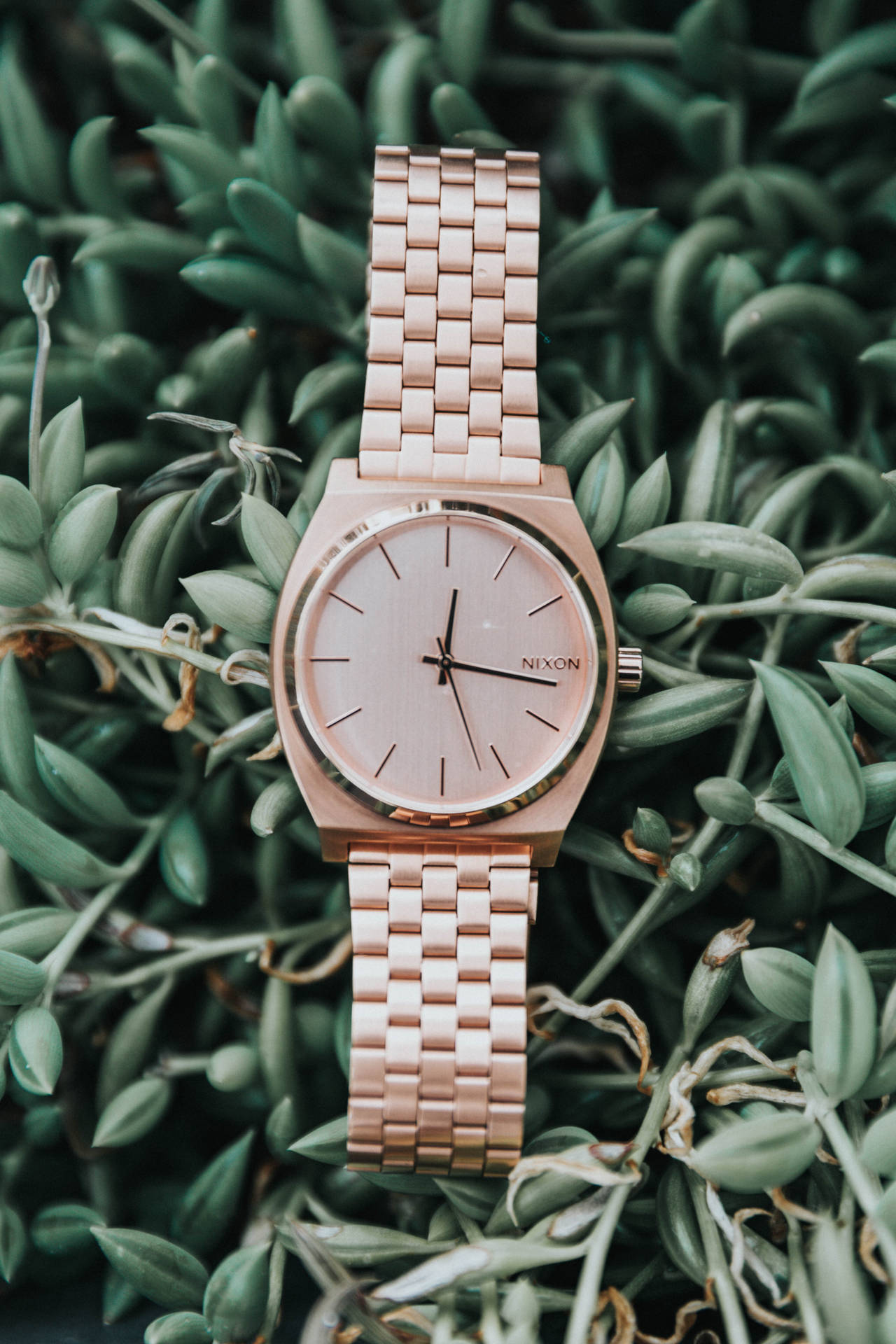 4136X6204 Rose Gold Wallpaper and Background