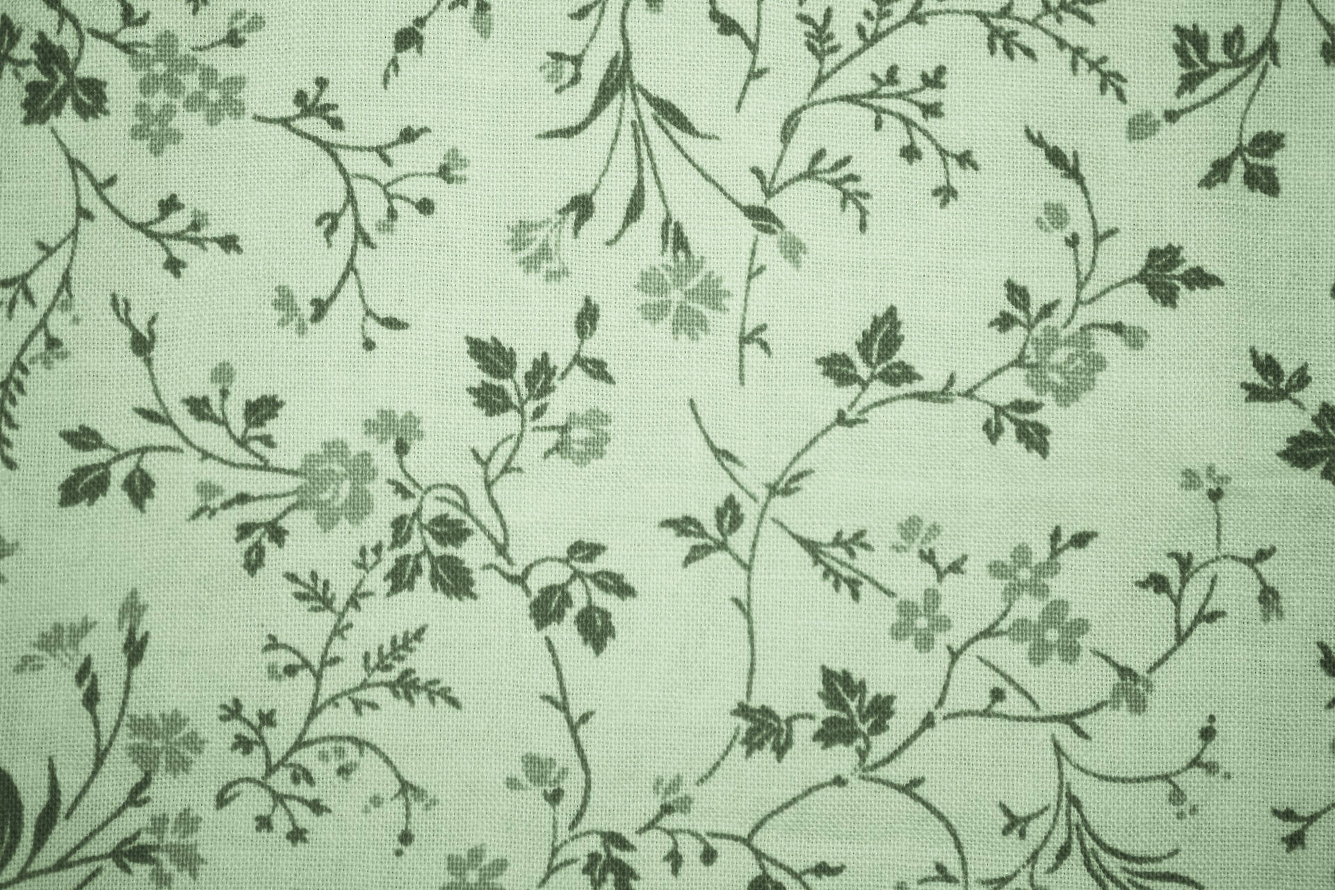 3000X2000 Sage Green Aesthetic Wallpaper and Background