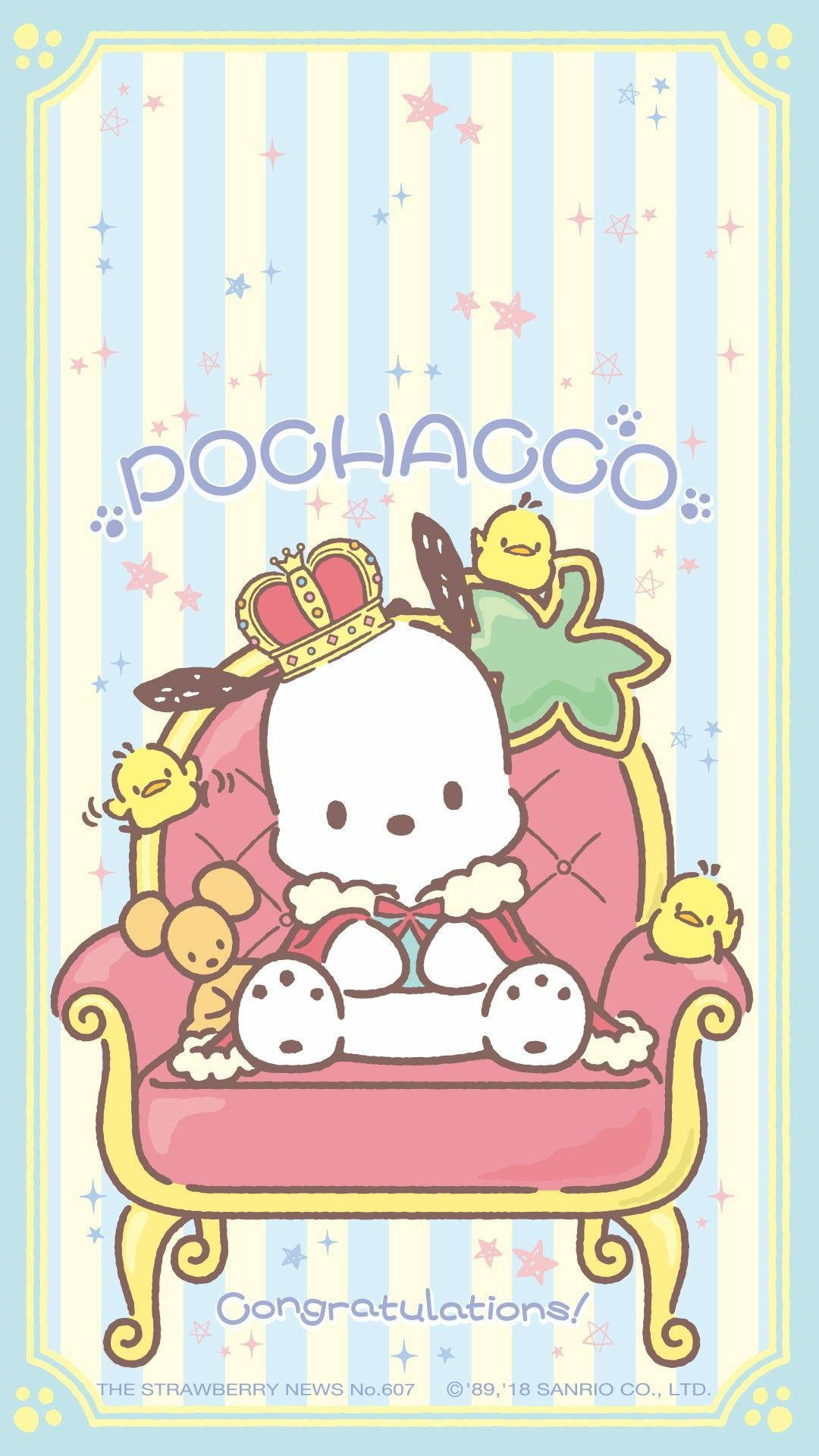 1080X1920 Sanrio Wallpaper and Background