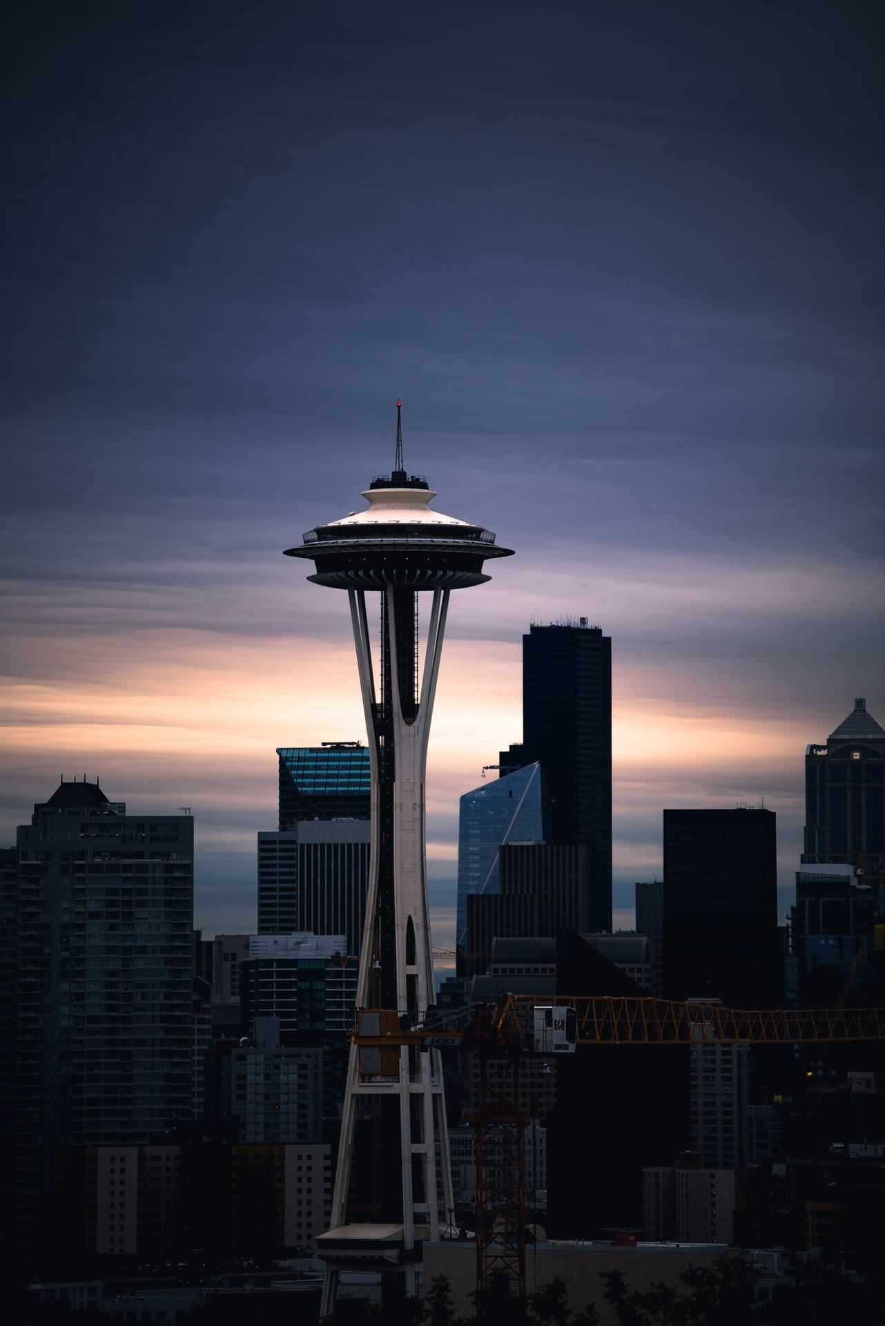 4016X6016 Seattle Wallpaper and Background