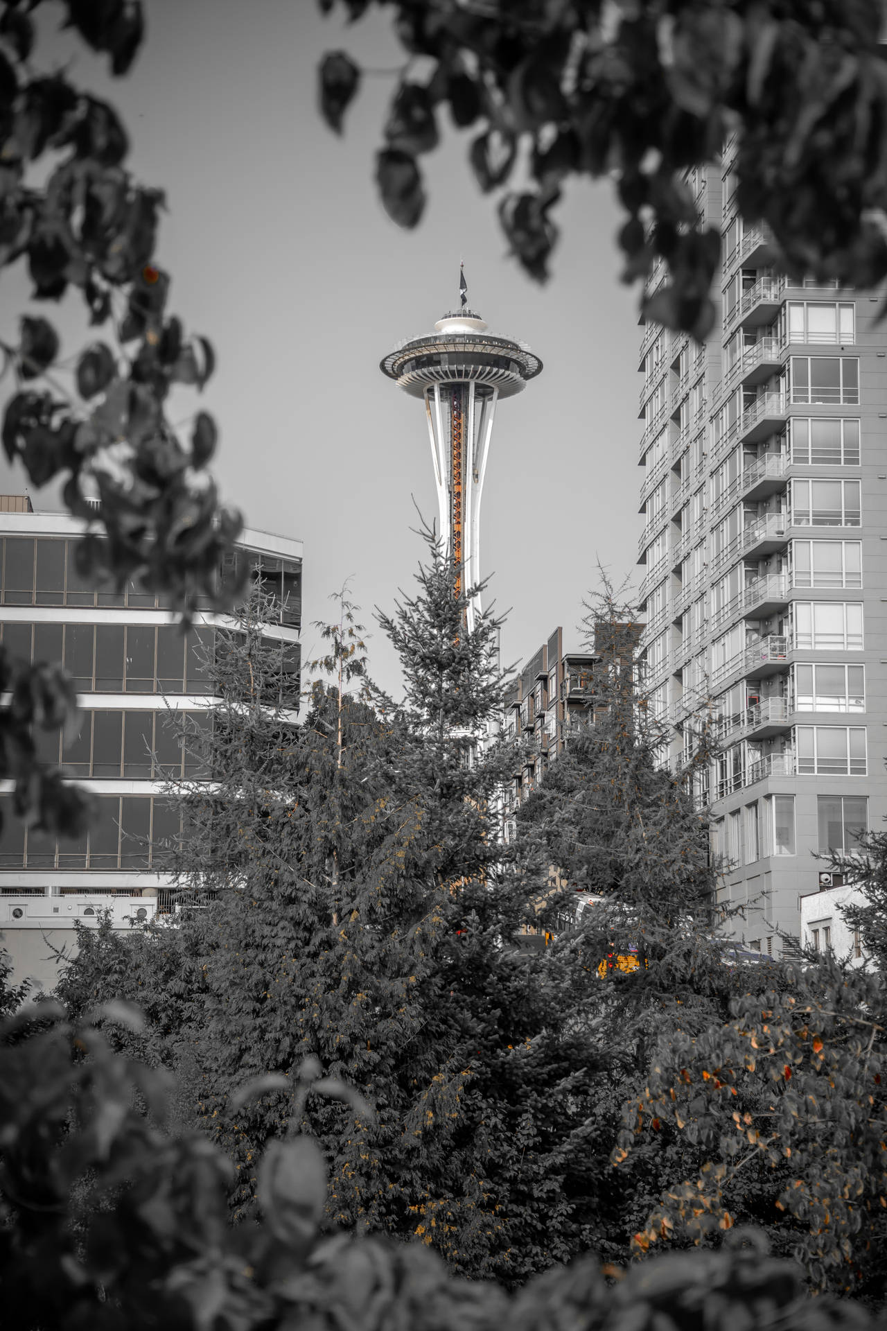 4160X6240 Seattle Wallpaper and Background