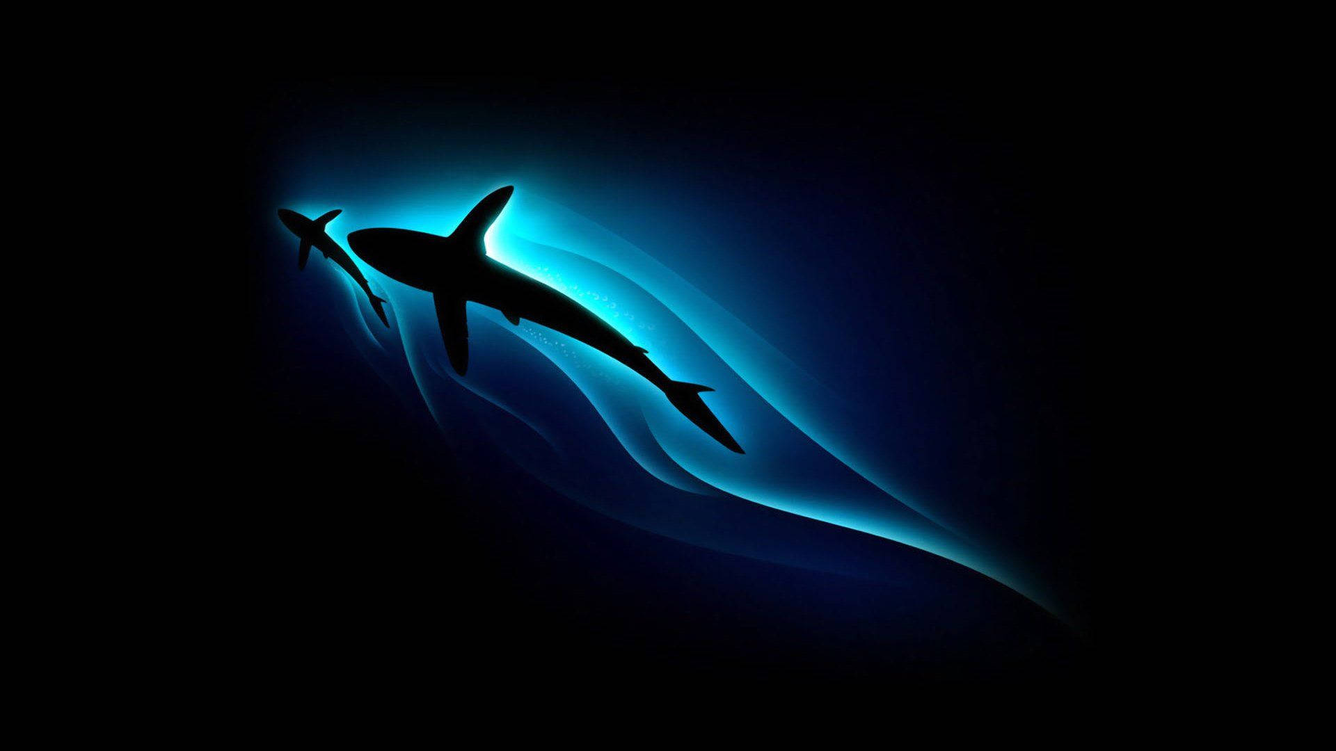 1920X1080 Shark Wallpaper and Background