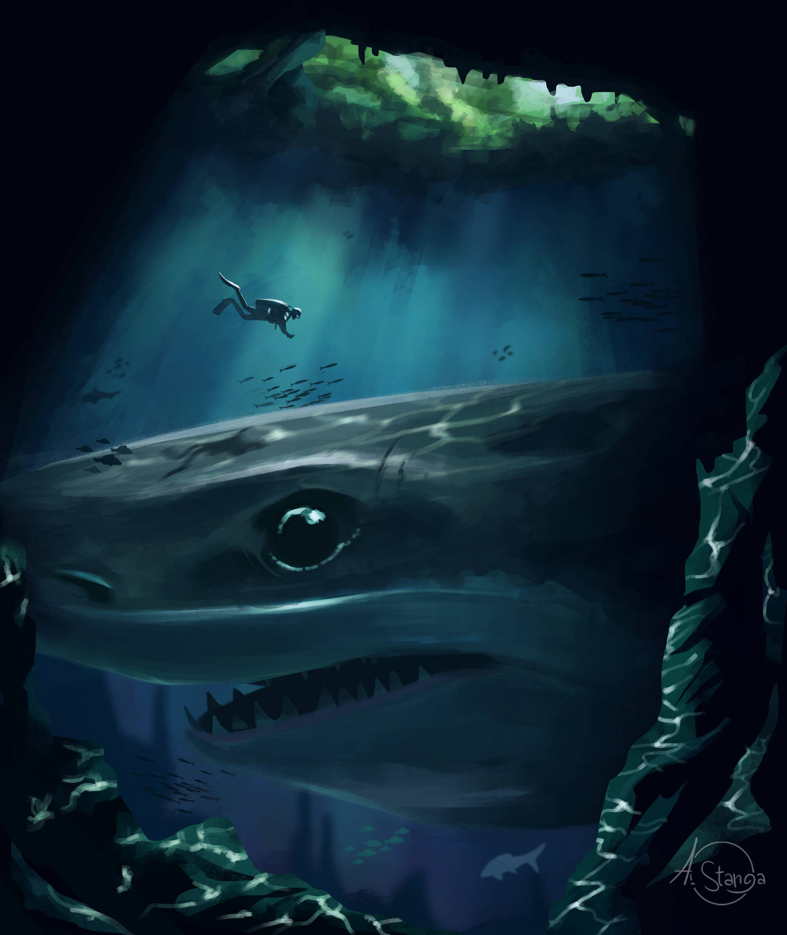 1920X2283 Shark Wallpaper and Background