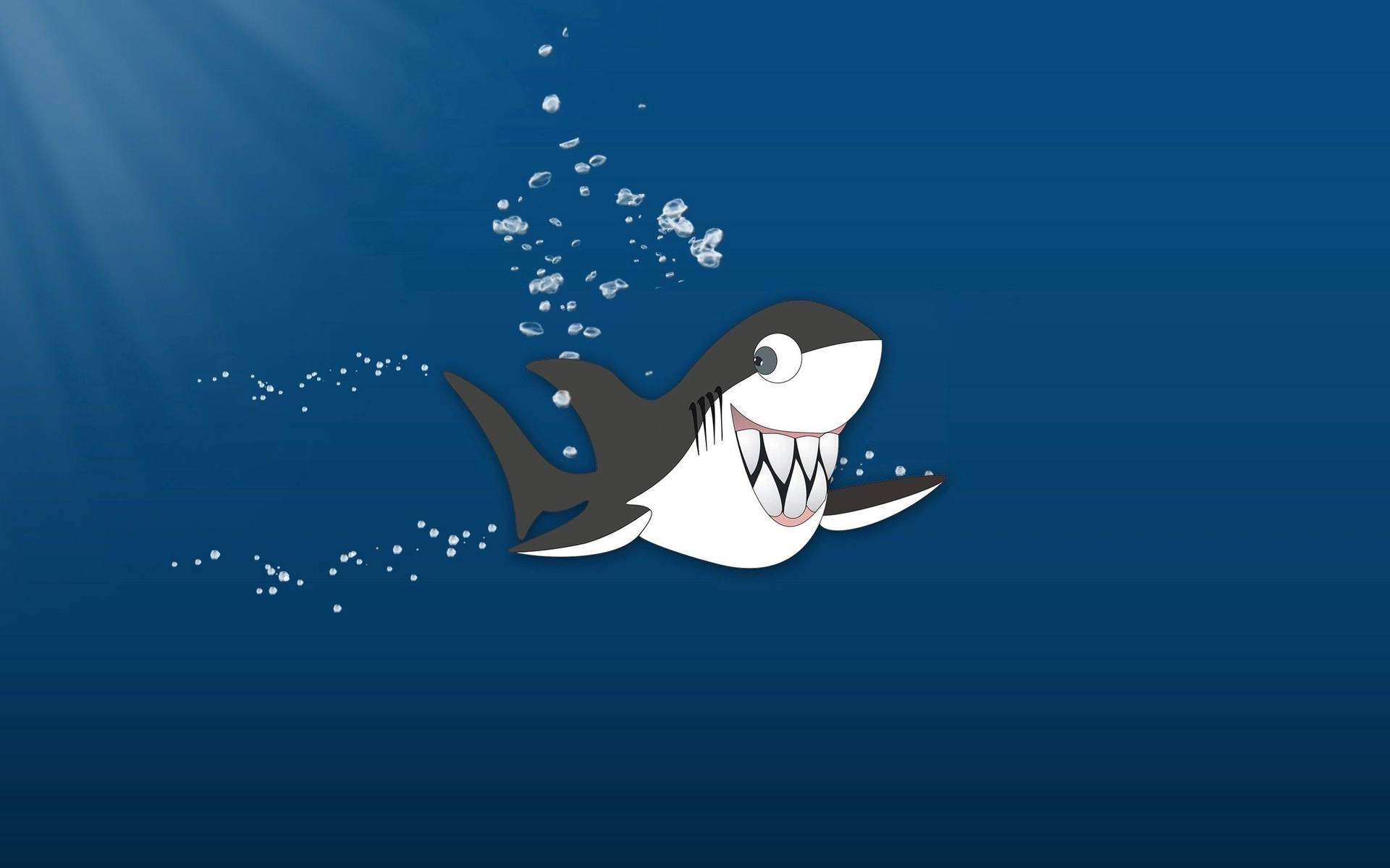 2560X1600 Shark Wallpaper and Background