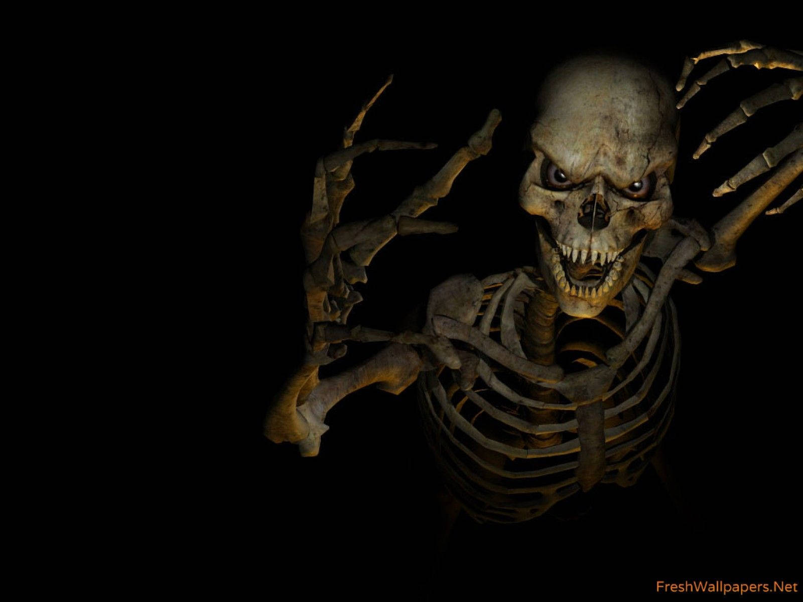 1600X1200 Skeleton Wallpaper and Background
