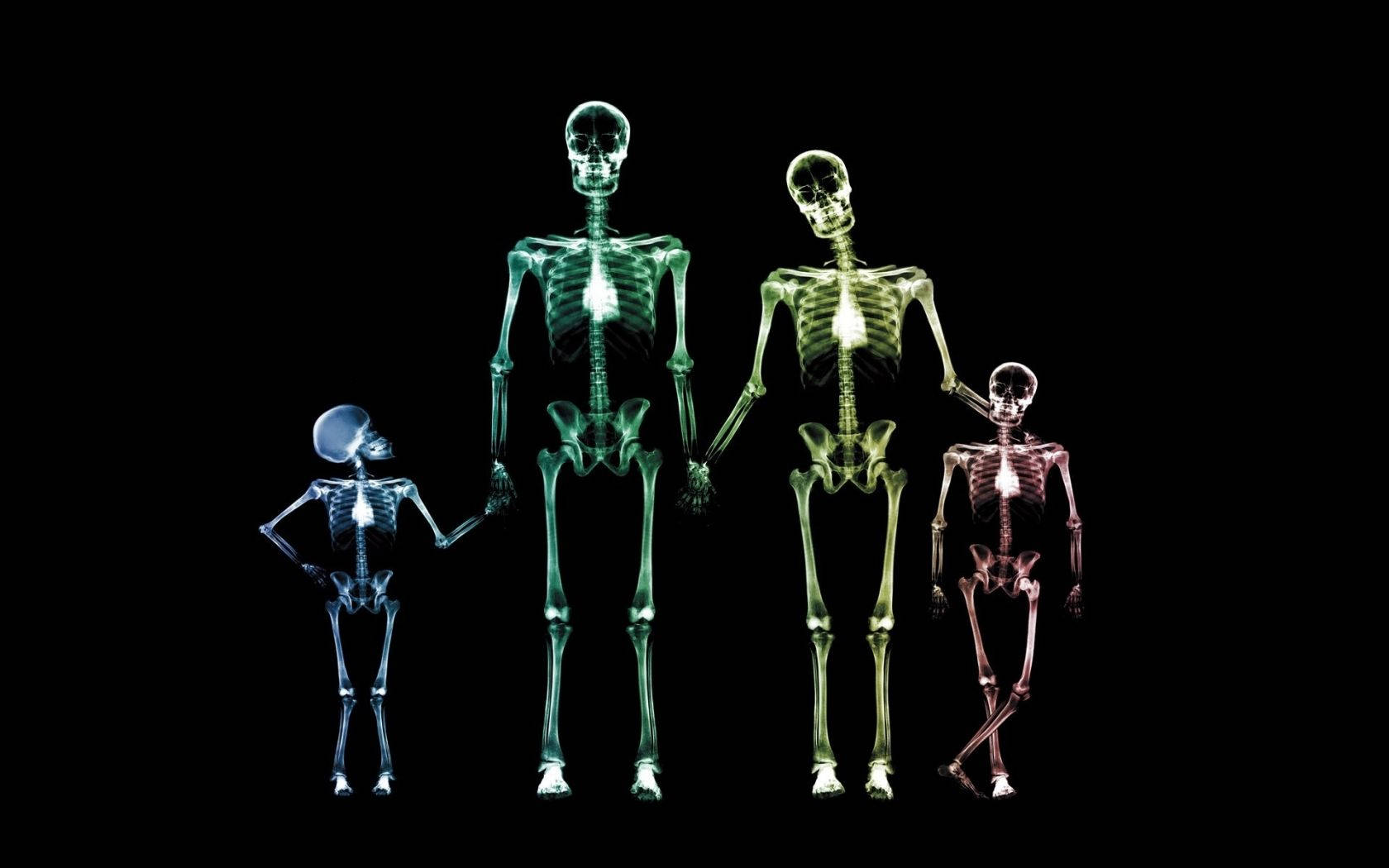 1680X1050 Skeleton Wallpaper and Background