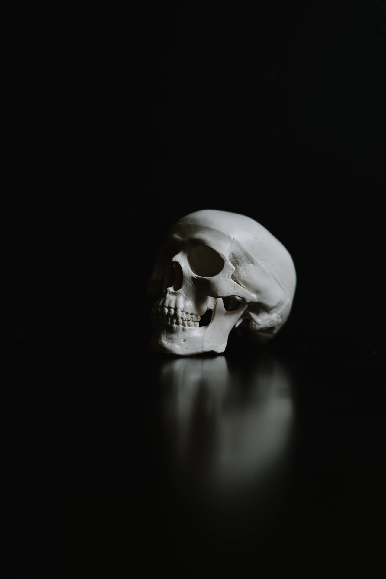 2832X4256 Skeleton Wallpaper and Background