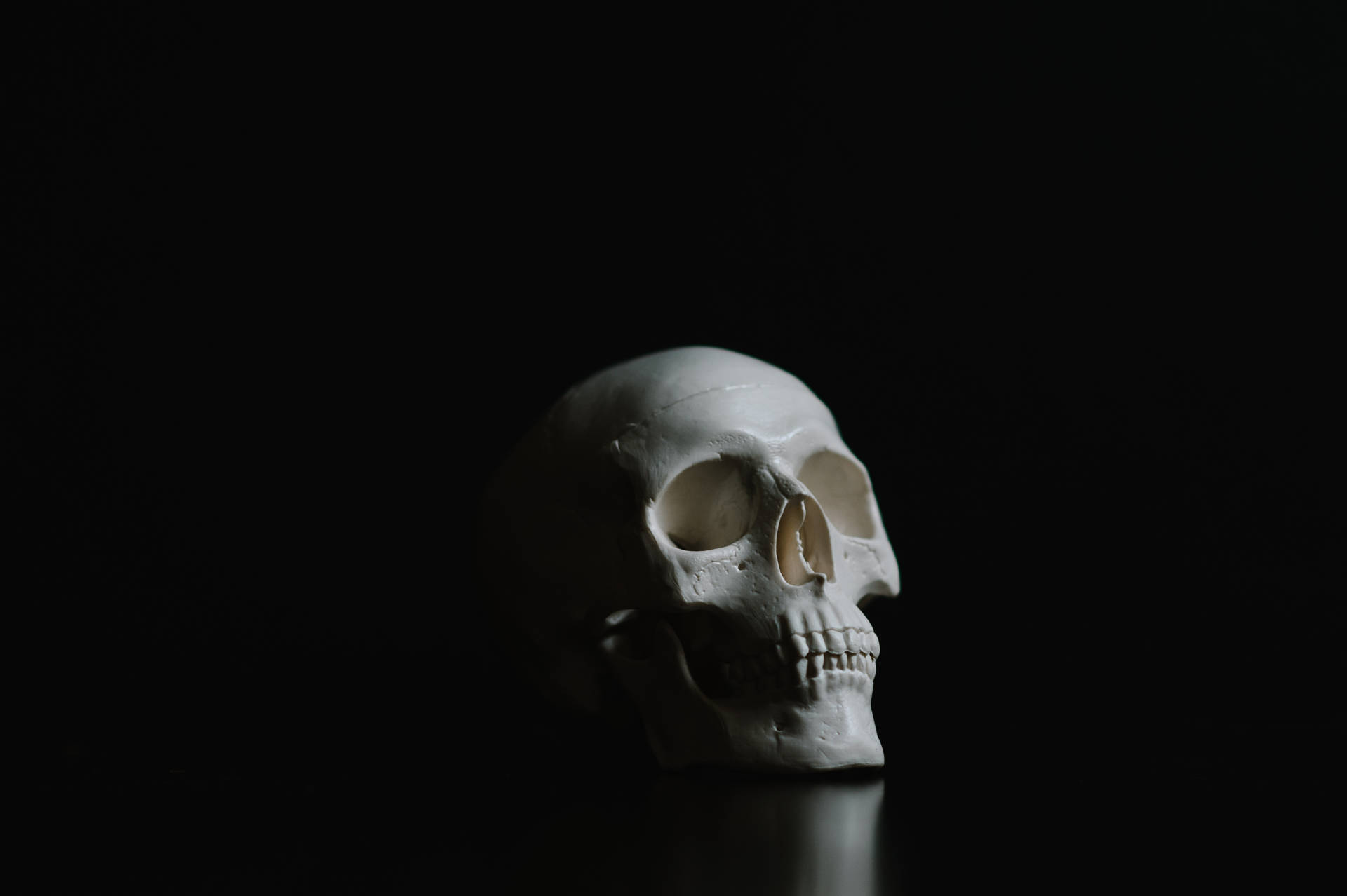 3441X2290 Skeleton Wallpaper and Background