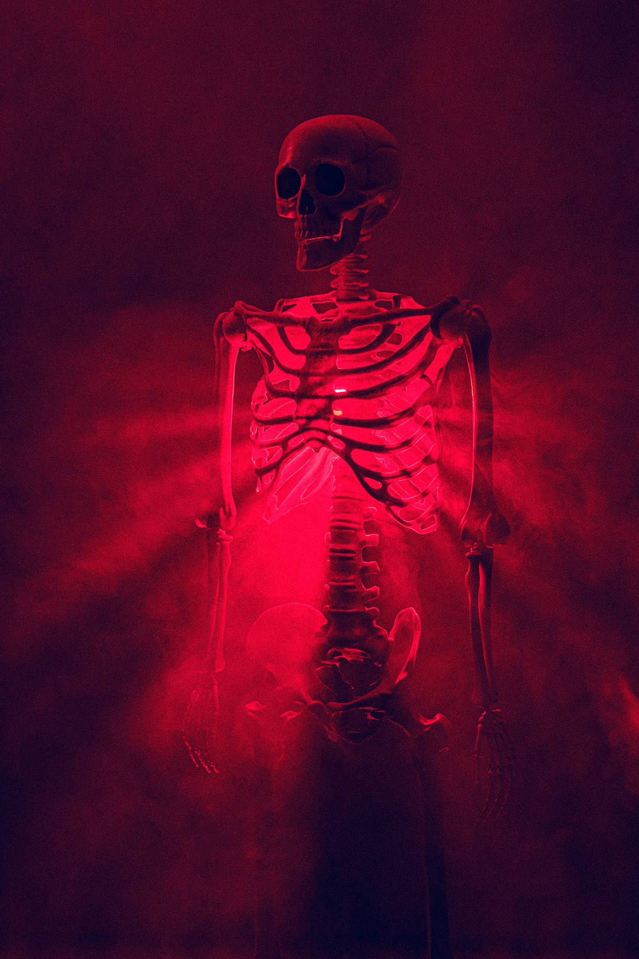3840X5760 Skeleton Wallpaper and Background