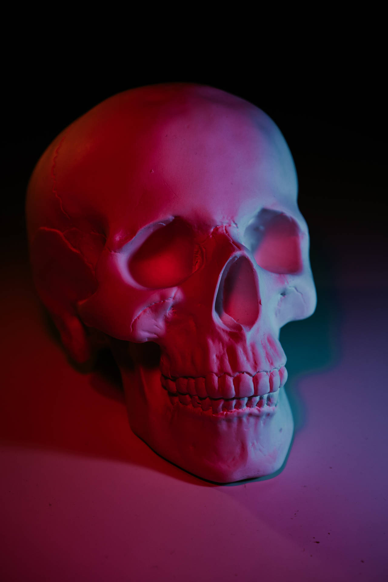 4000X6000 Skeleton Wallpaper and Background
