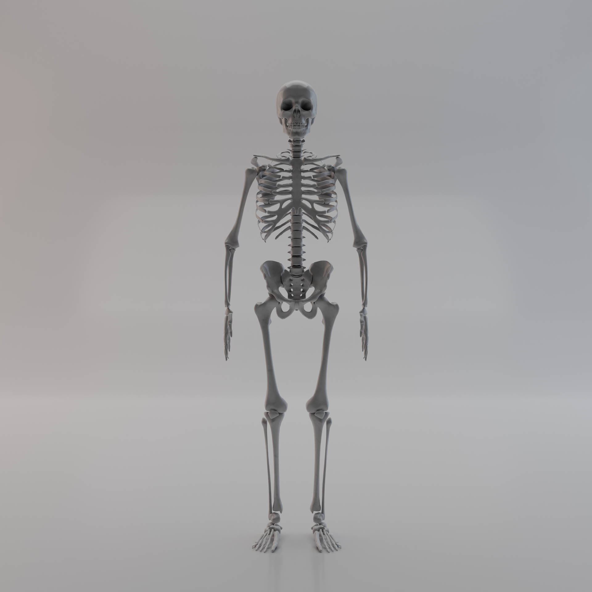 4096X4096 Skeleton Wallpaper and Background