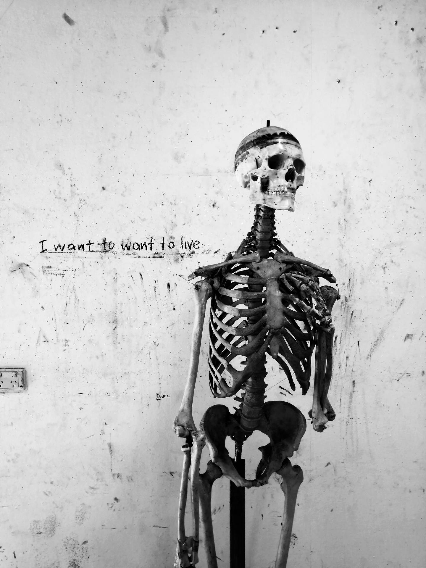4224X5632 Skeleton Wallpaper and Background