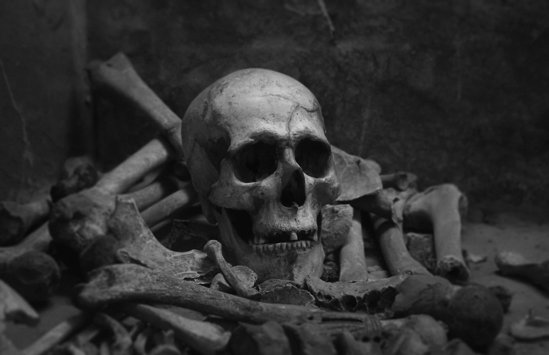 5039X3262 Skeleton Wallpaper and Background