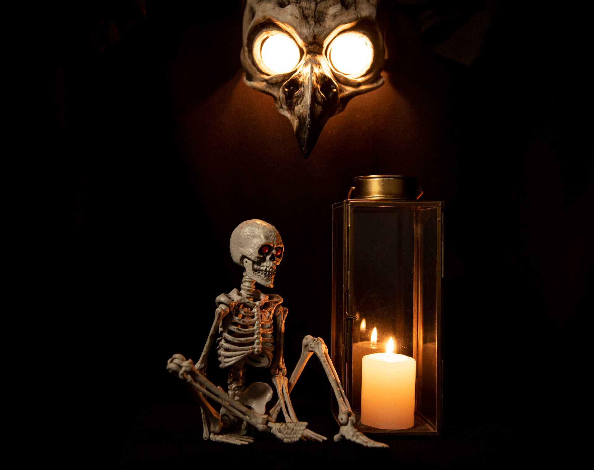 5073X4016 Skeleton Wallpaper and Background