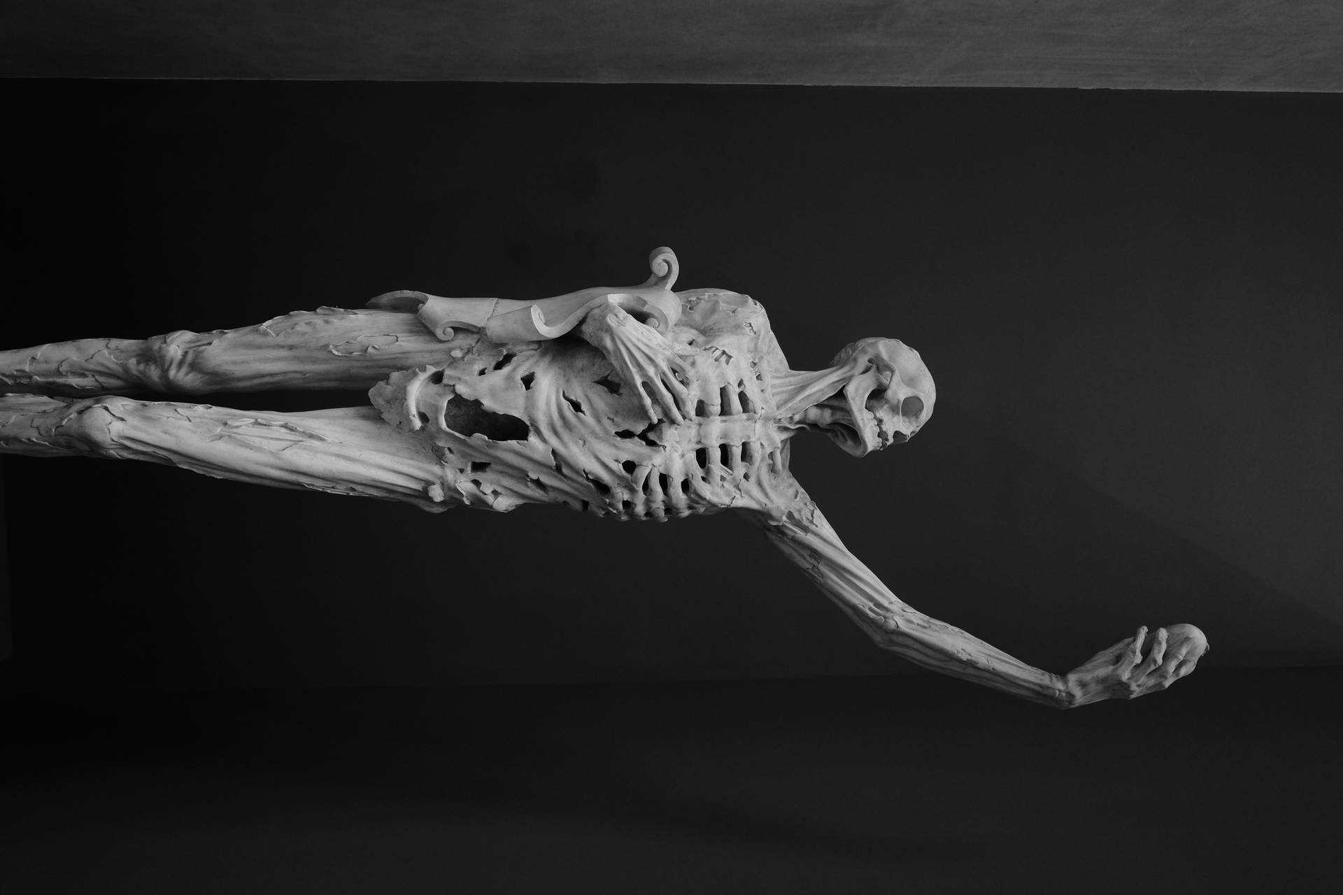 6000X4000 Skeleton Wallpaper and Background
