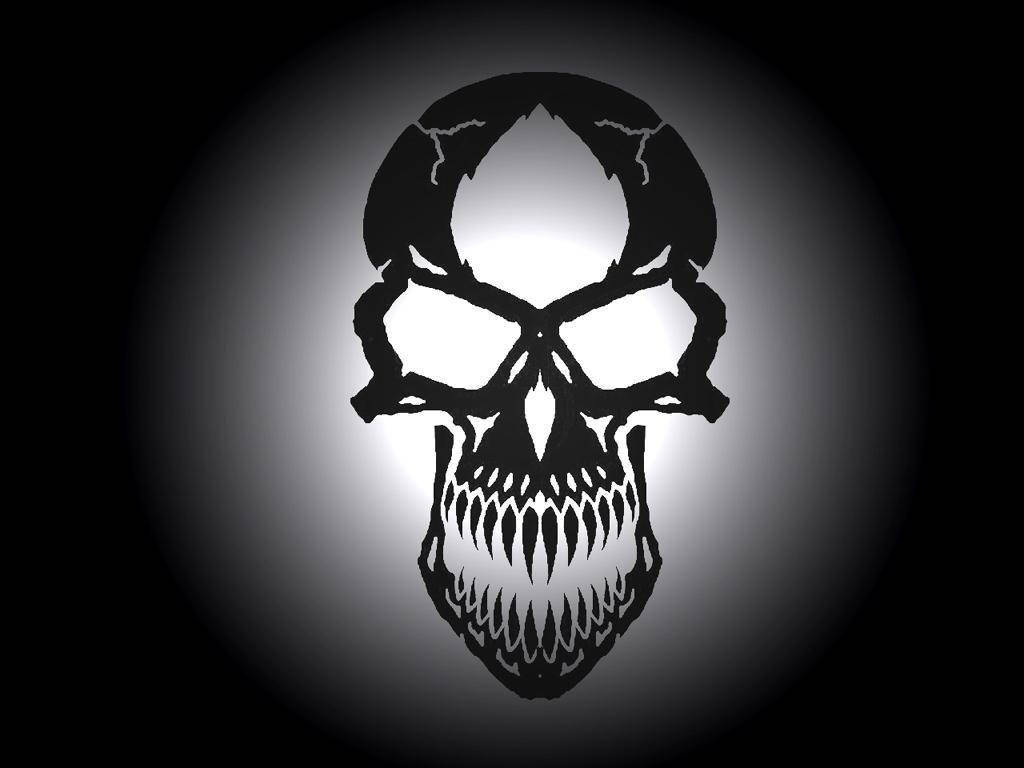 1024X768 Skull Wallpaper and Background