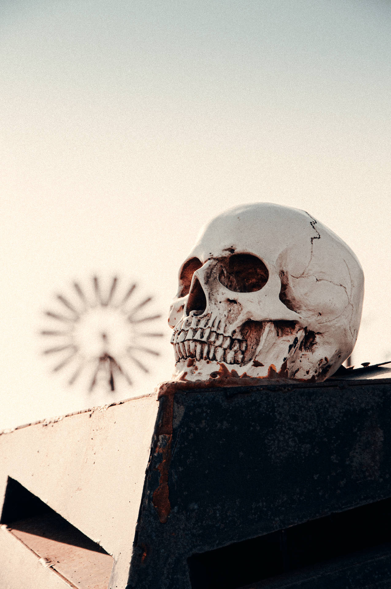 2848X4288 Skull Wallpaper and Background
