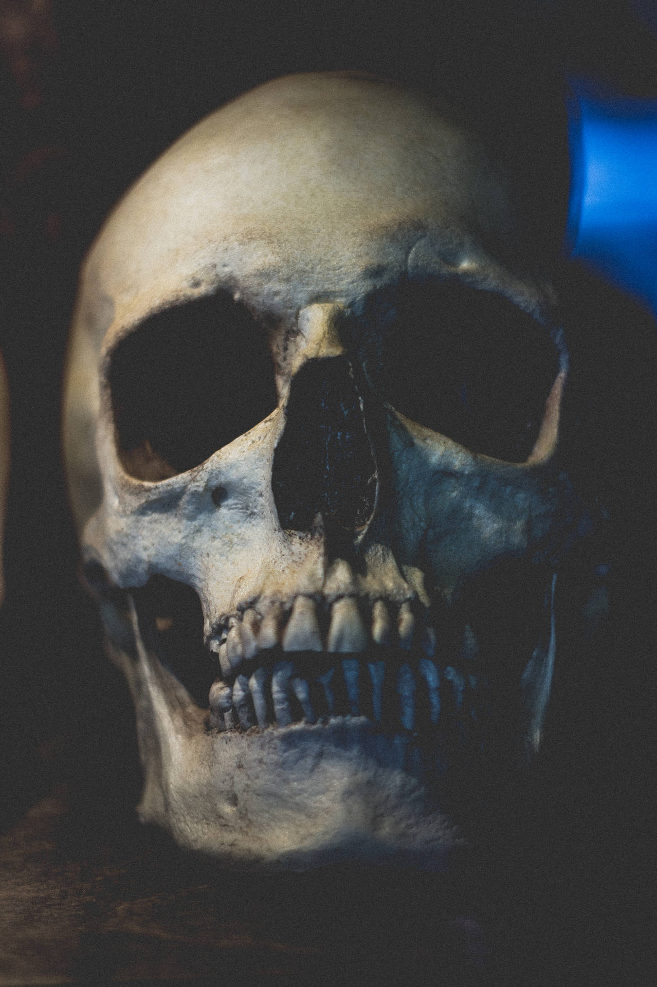3056X4592 Skull Wallpaper and Background