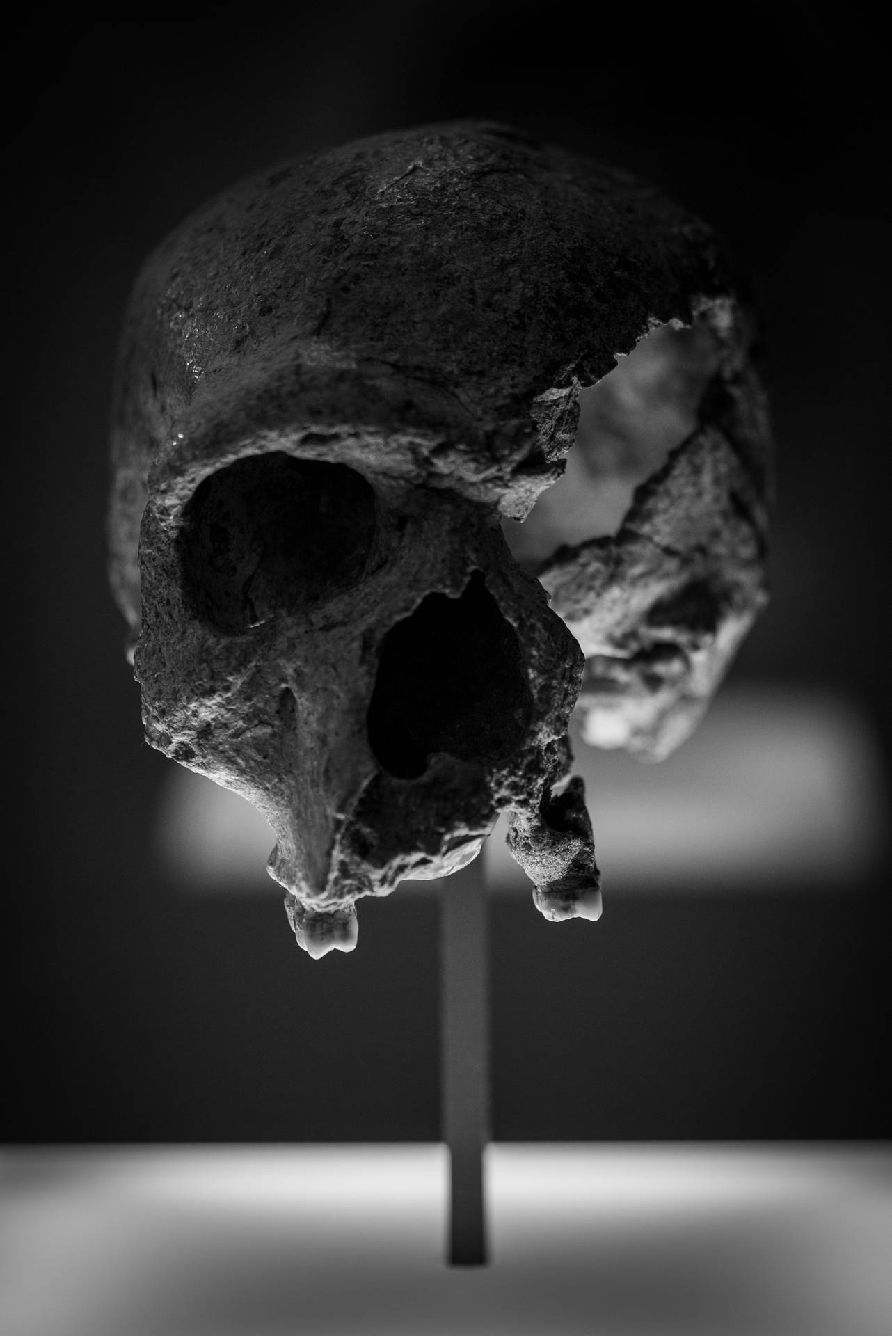3252X4871 Skull Wallpaper and Background
