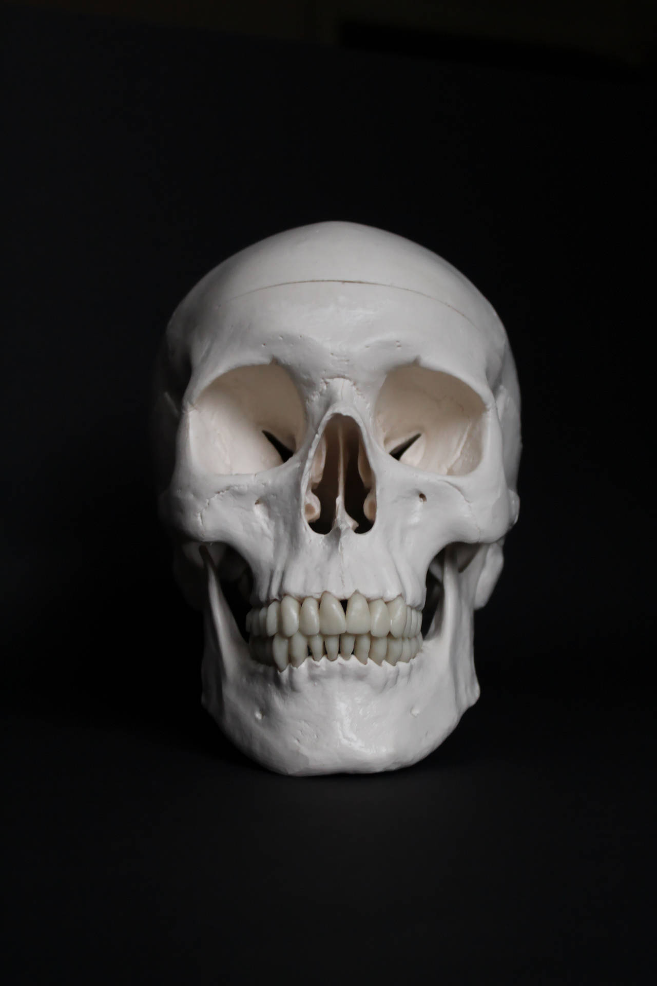 3456X5184 Skull Wallpaper and Background