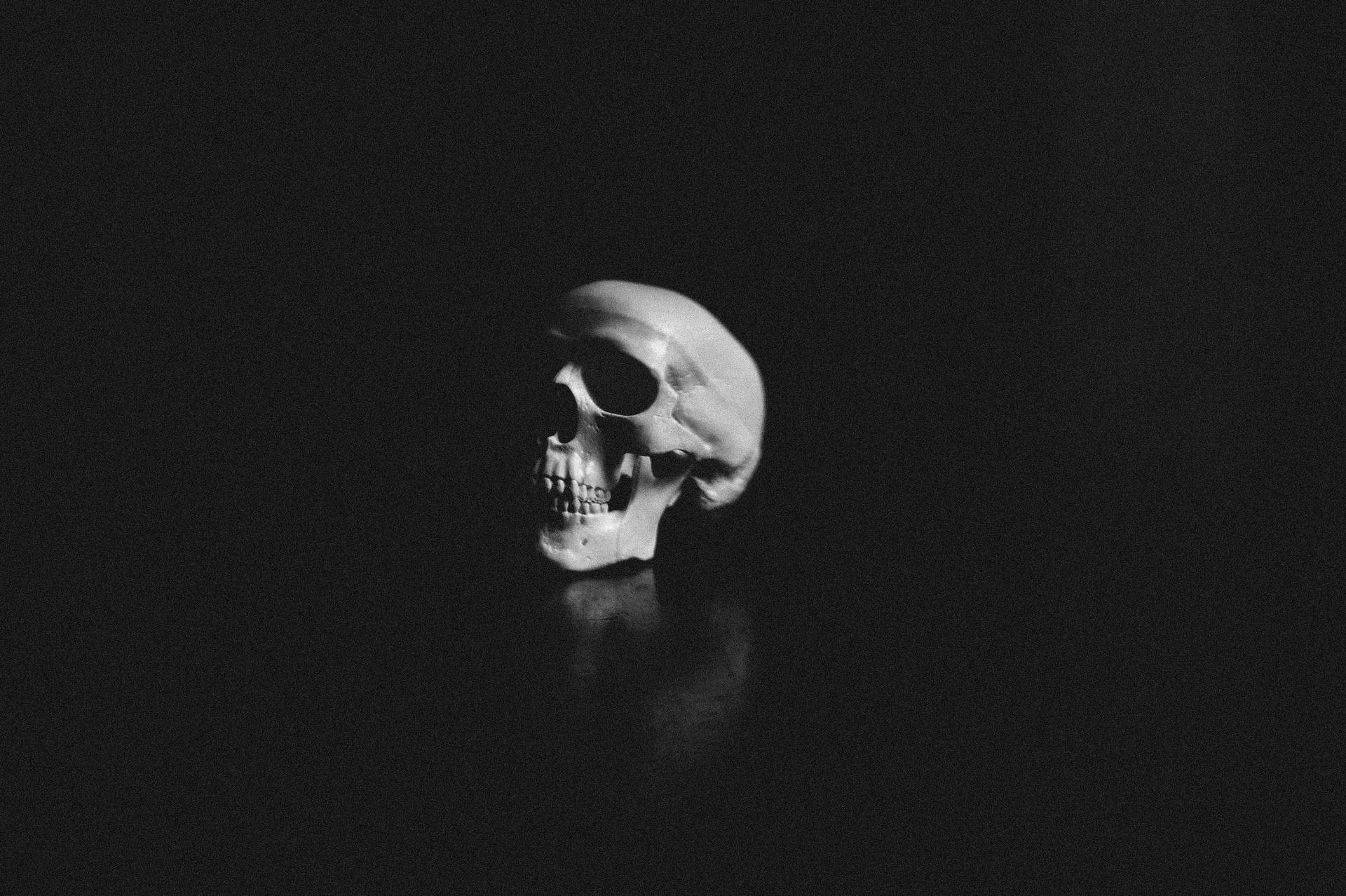3677X2447 Skull Wallpaper and Background
