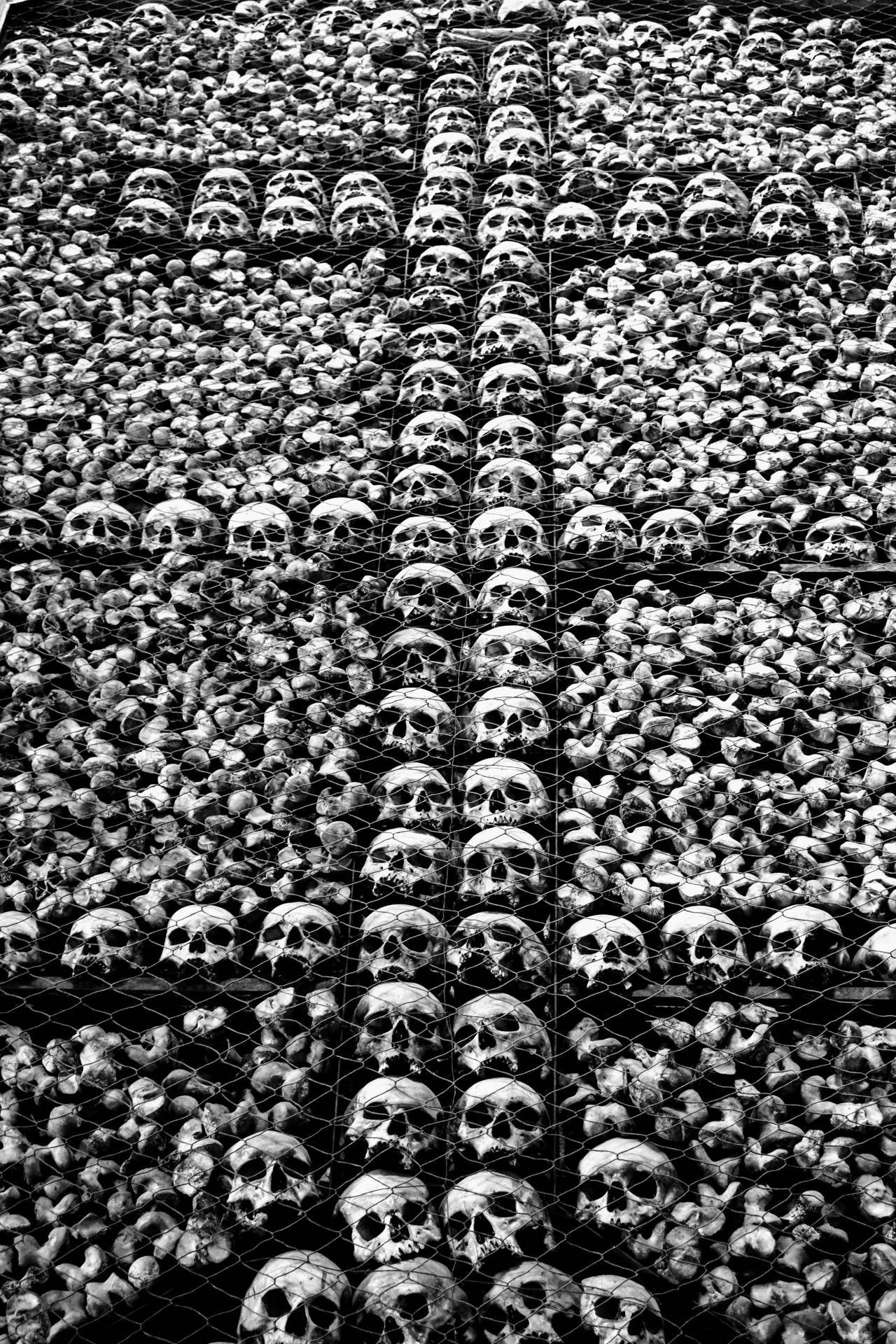 4000X6000 Skull Wallpaper and Background
