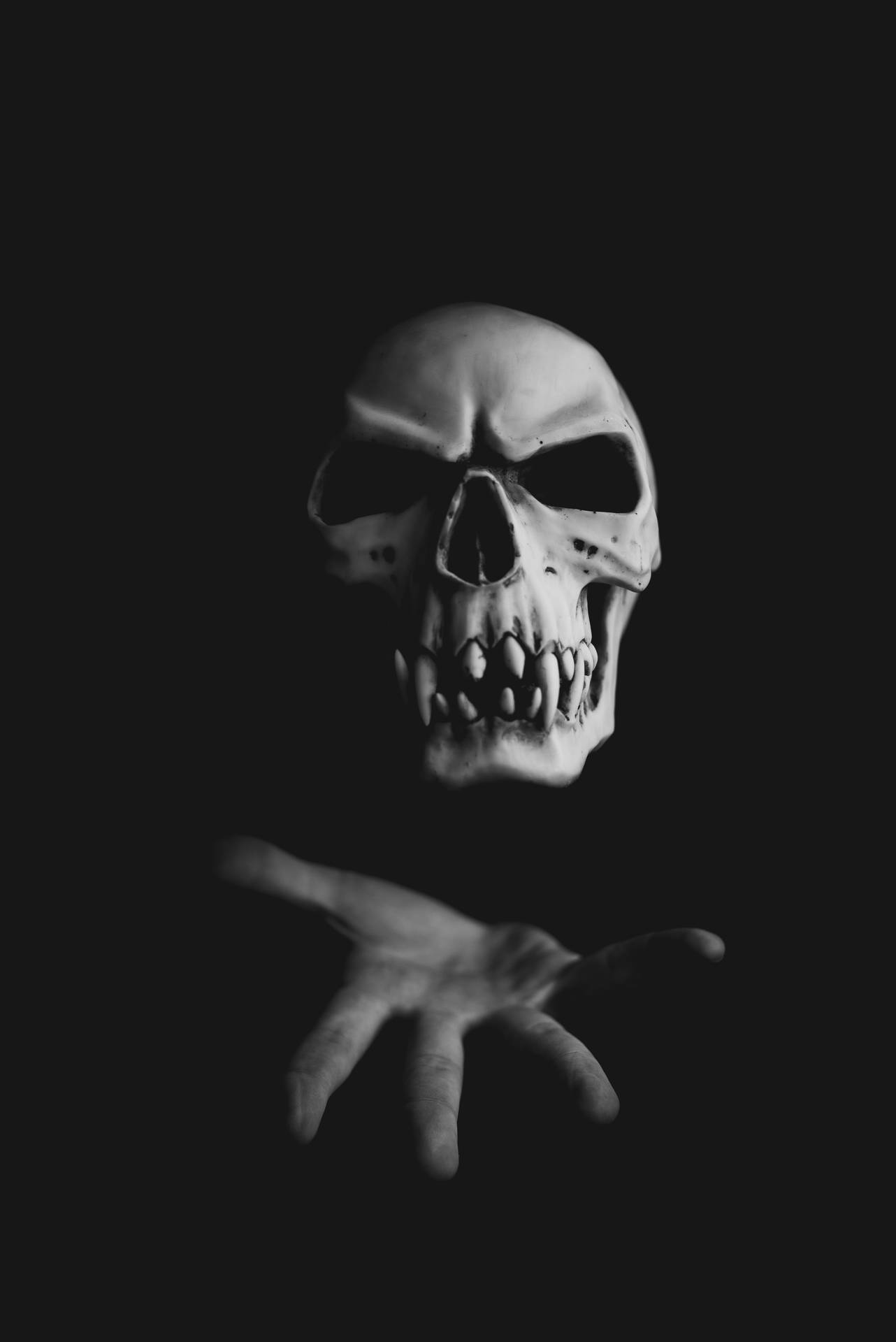 4016X6016 Skull Wallpaper and Background