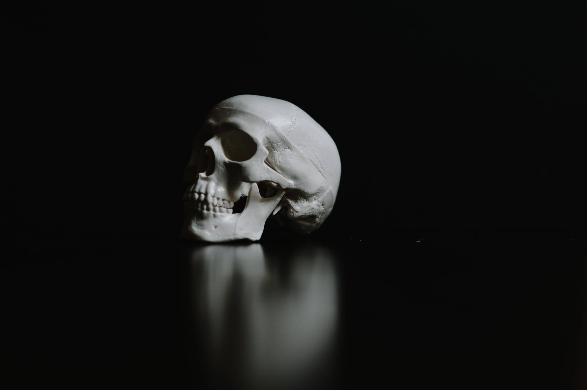 4256X2832 Skull Wallpaper and Background