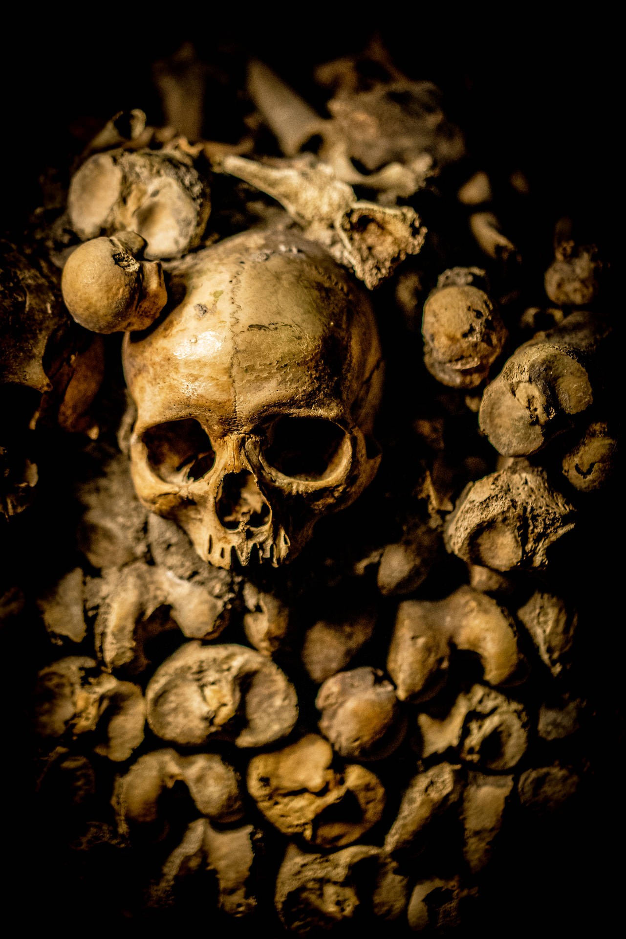 5304X7952 Skull Wallpaper and Background